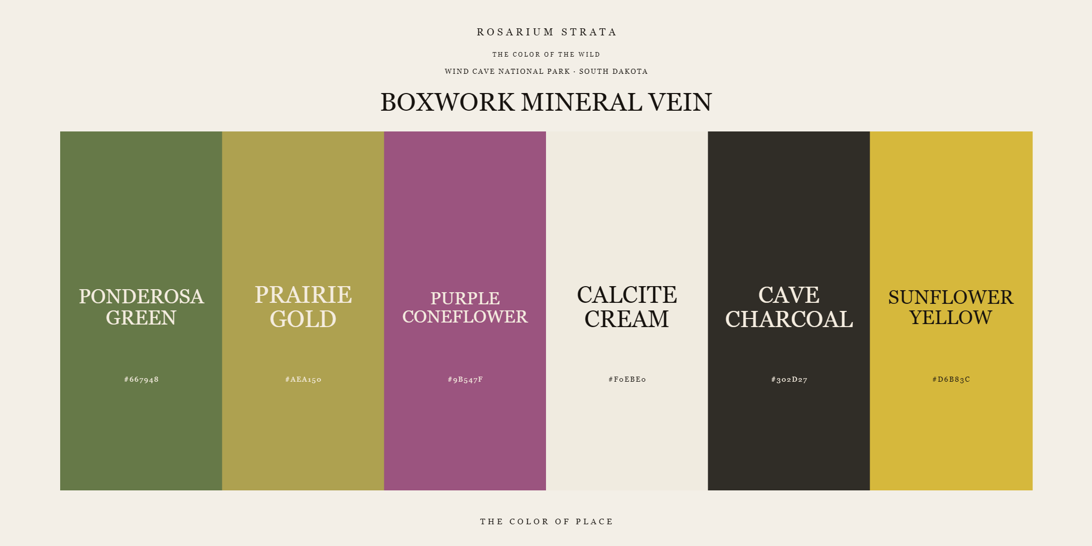 boxwork-mineral-vein_editorial.png