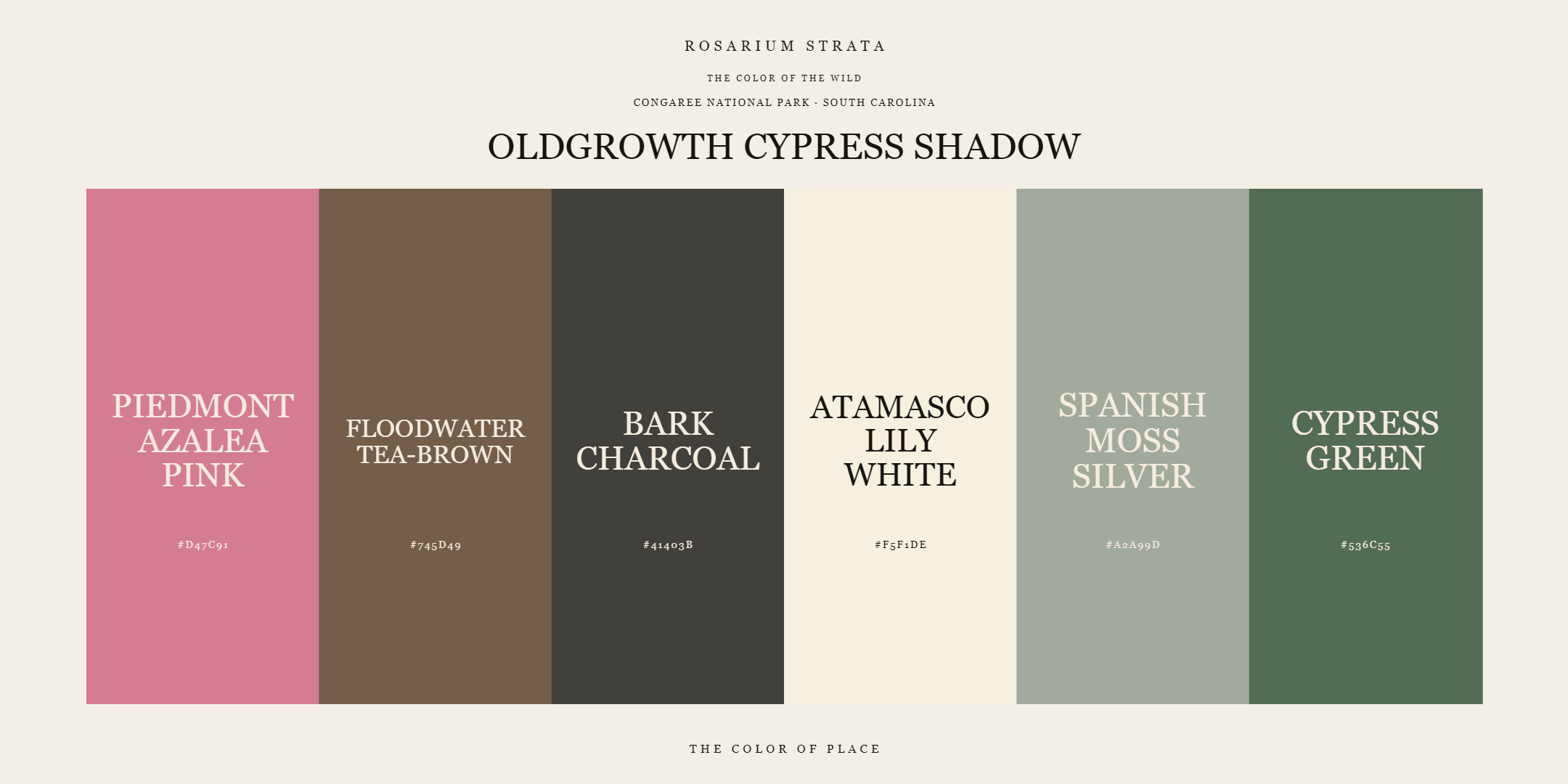 oldgrowth-cypress-shadow_editorial.png
