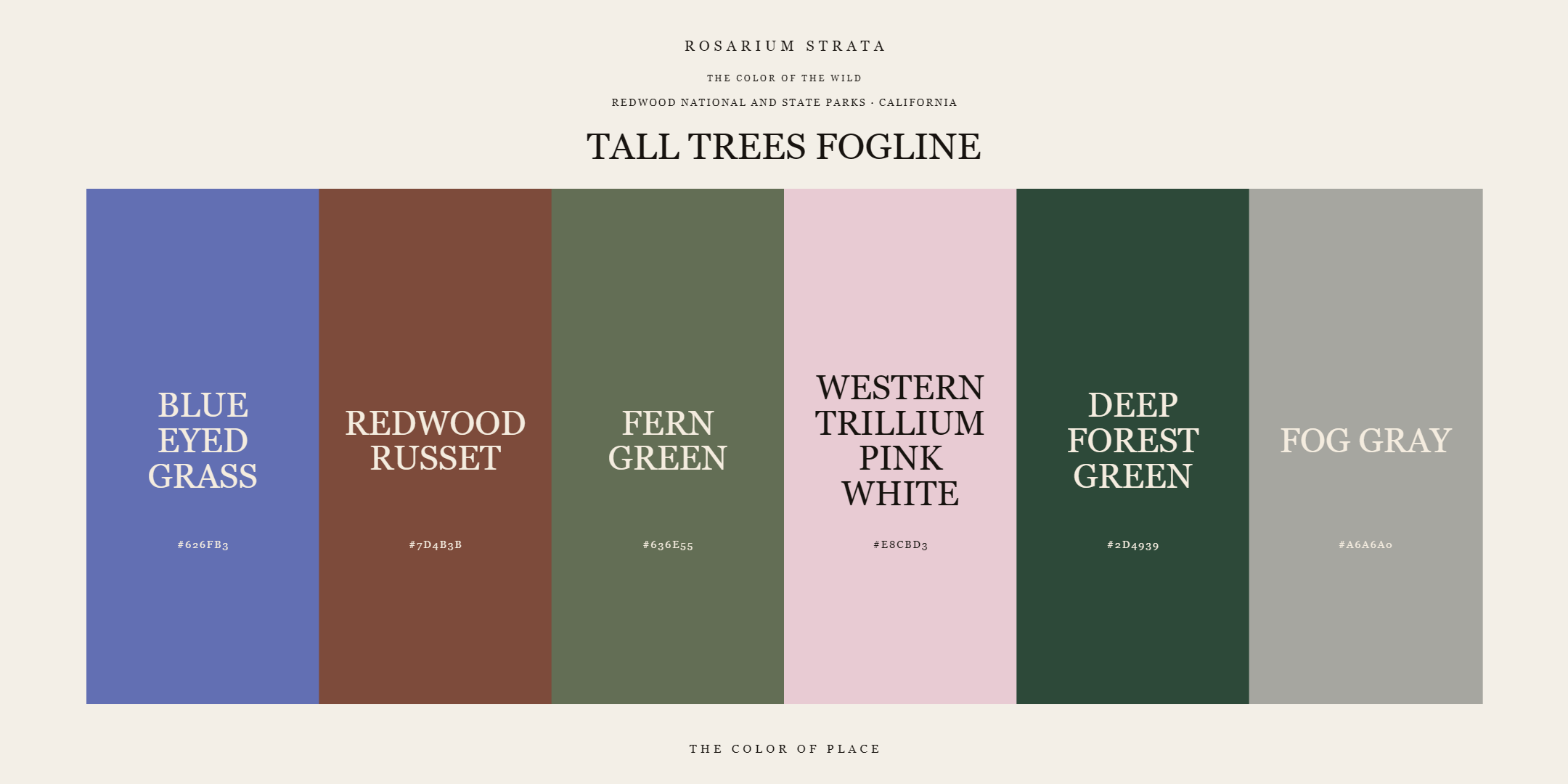 tall-trees-fogline_editorial.png