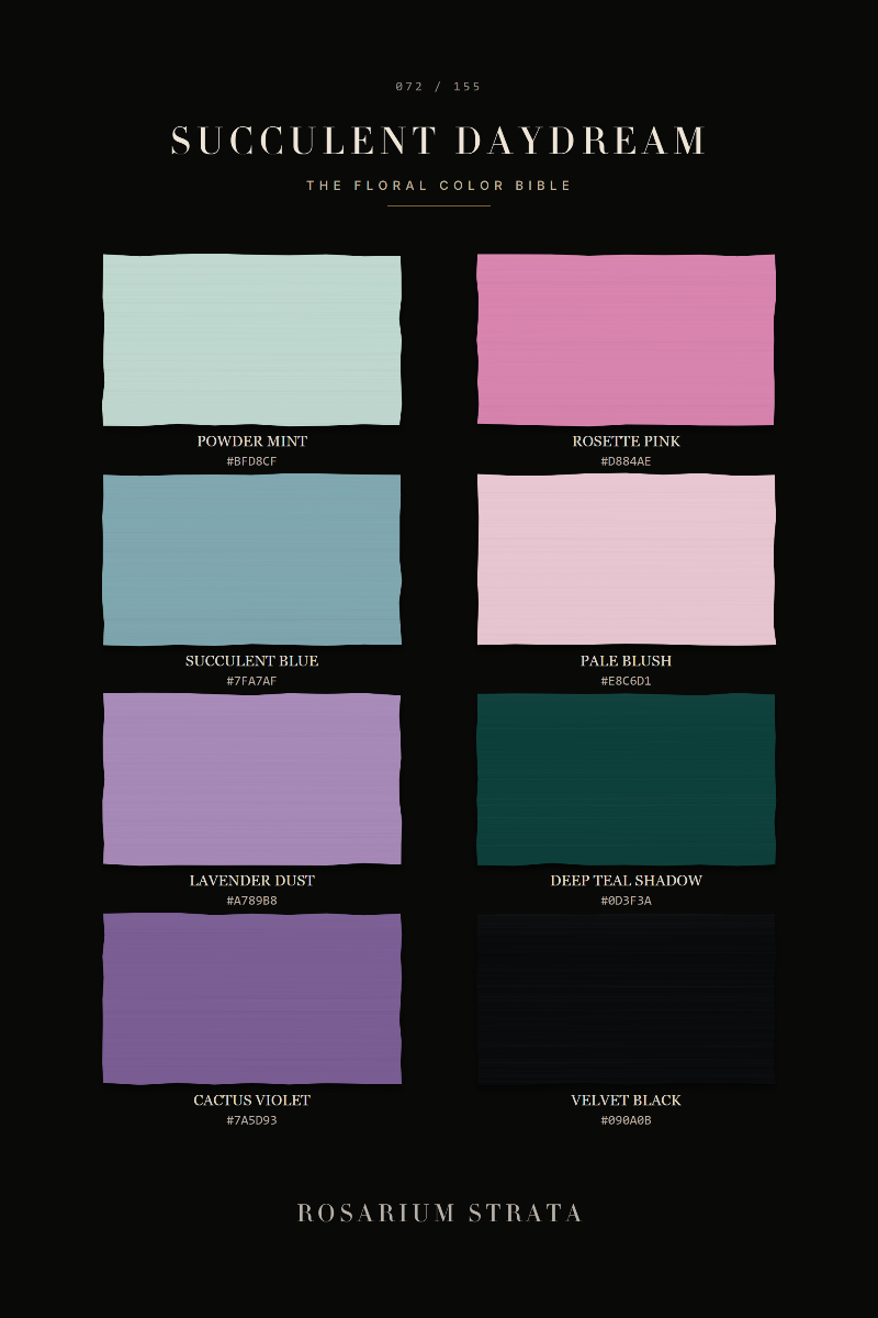 072-succulent-daydream-clean.png