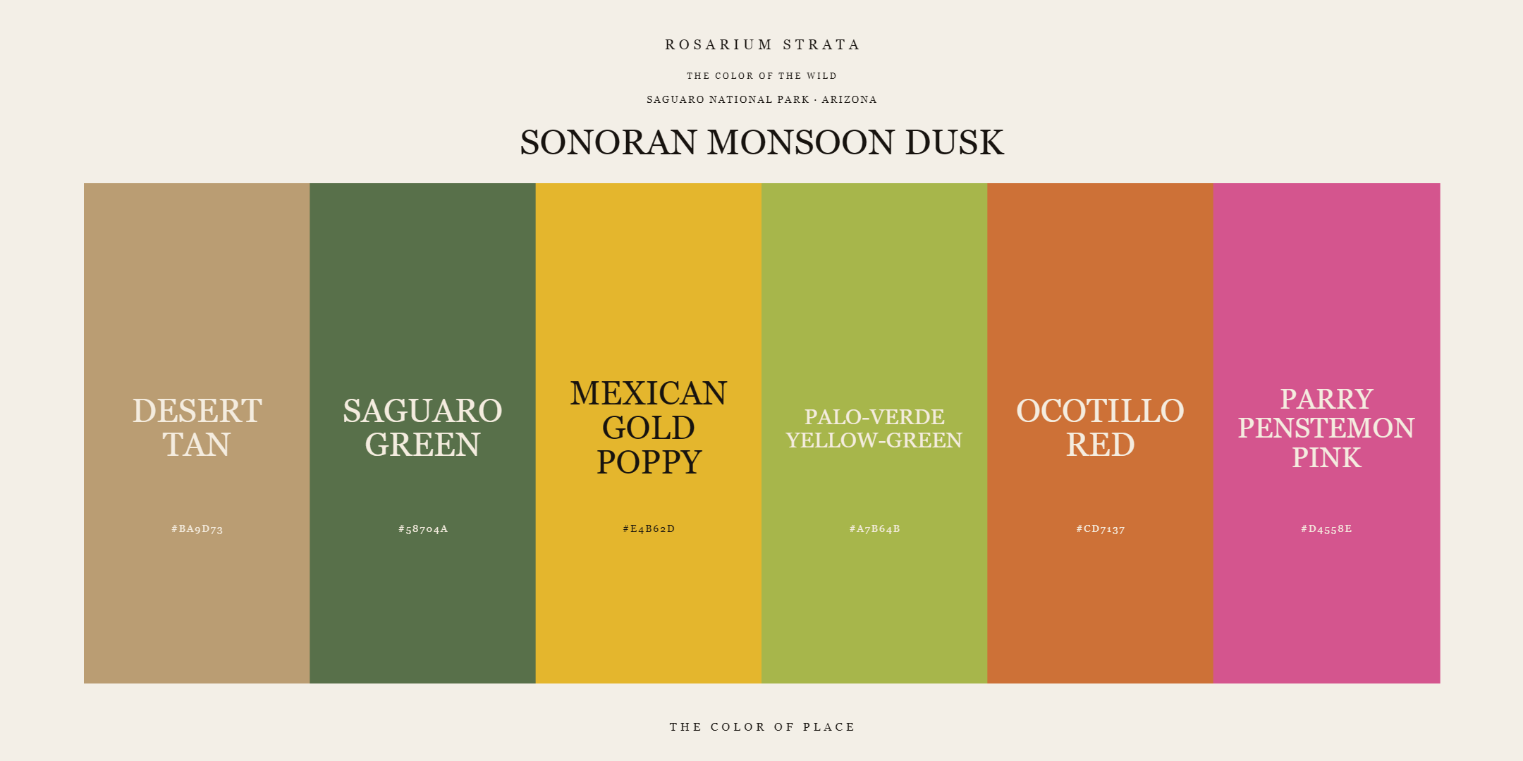sonoran-monsoon-dusk_editorial.png