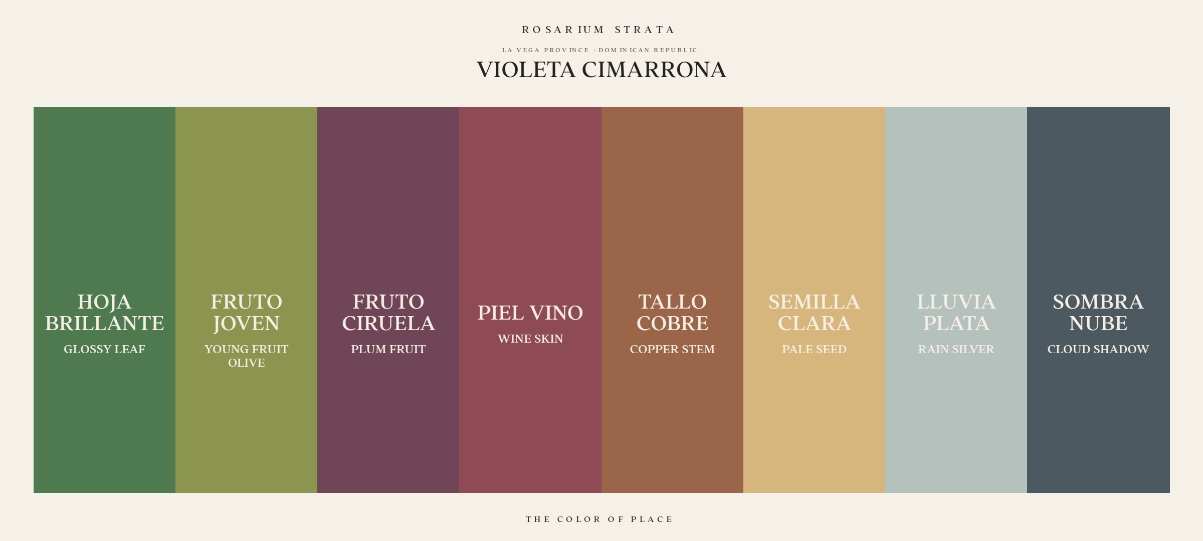 violeta-cimarrona_horizontal-palette-card.png