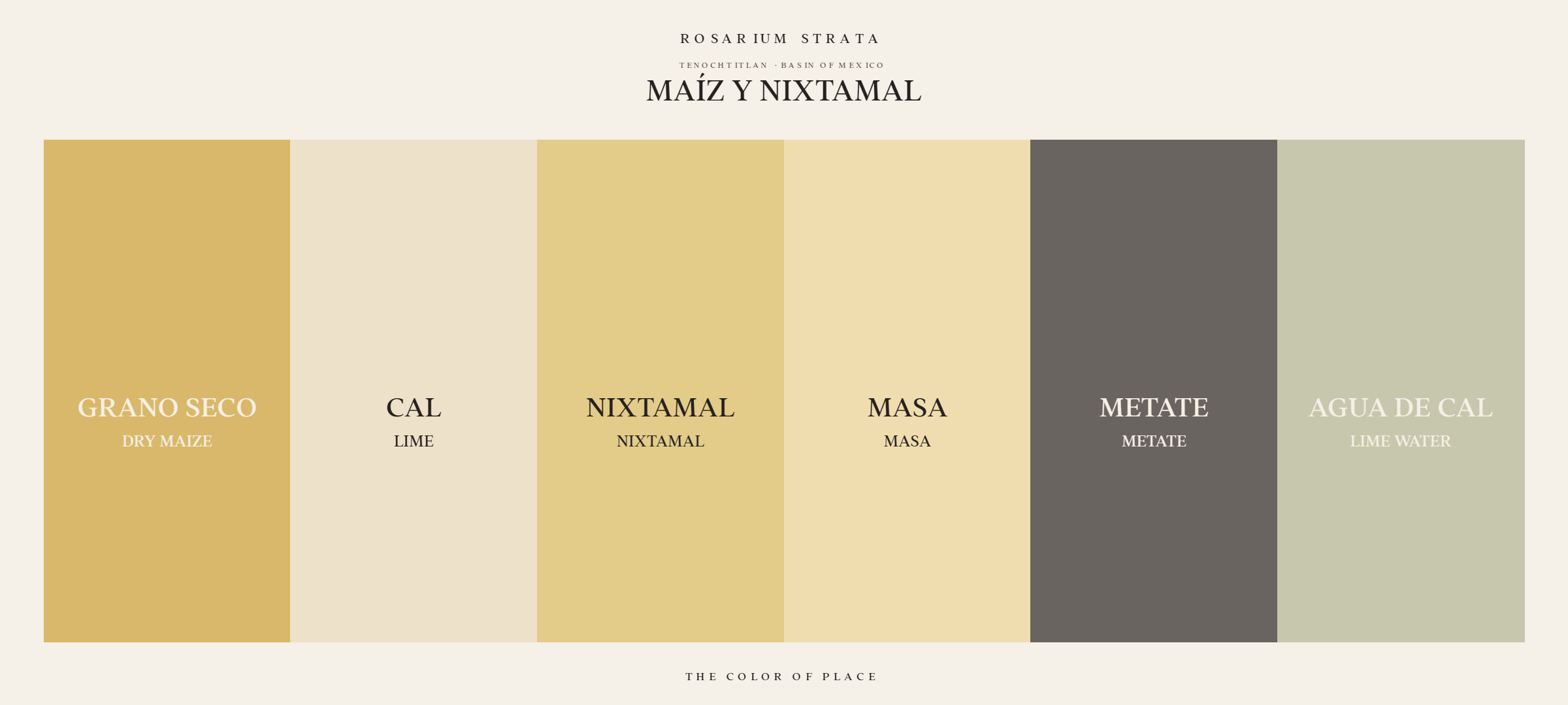 maiz-y-nixtamal_horizontal-palette-card.png