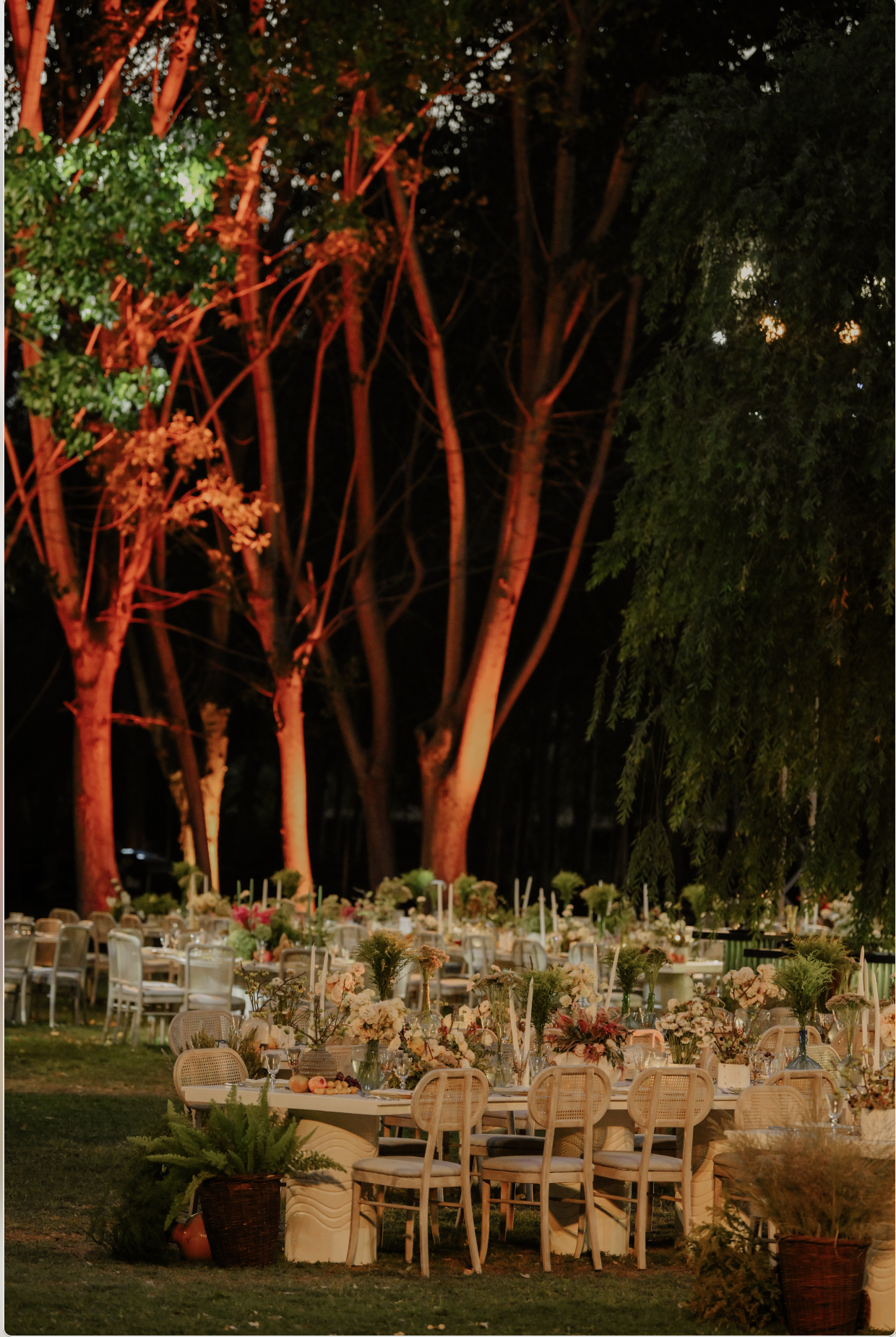 Screenshot 2026-03-20 at 5.25.32 PM.png