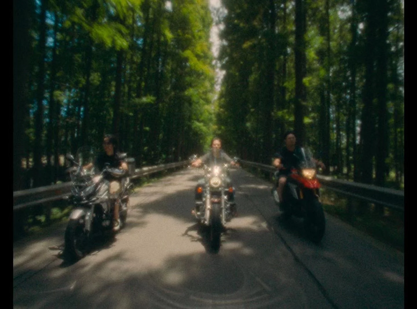 Three motorcyclists riding on a forested road surrounded by green trees during daytime.