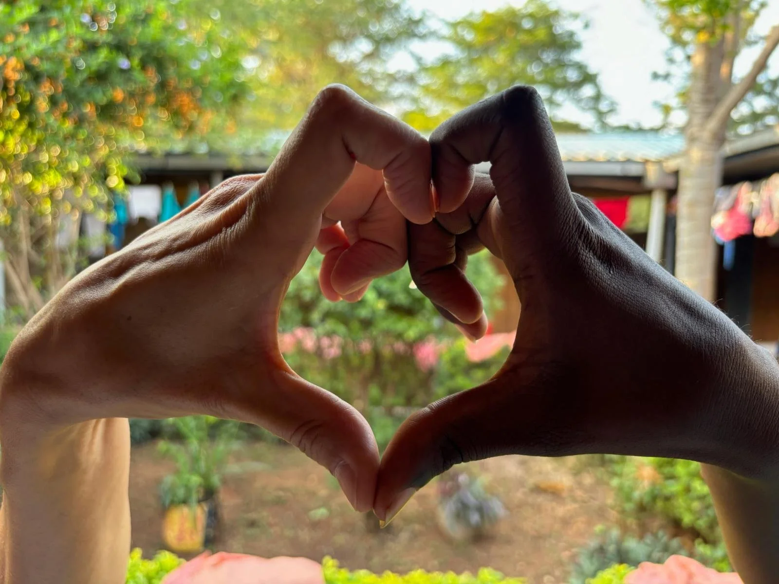 WhatsApp Image 2025-11-29 at 17.23.04.jpeg