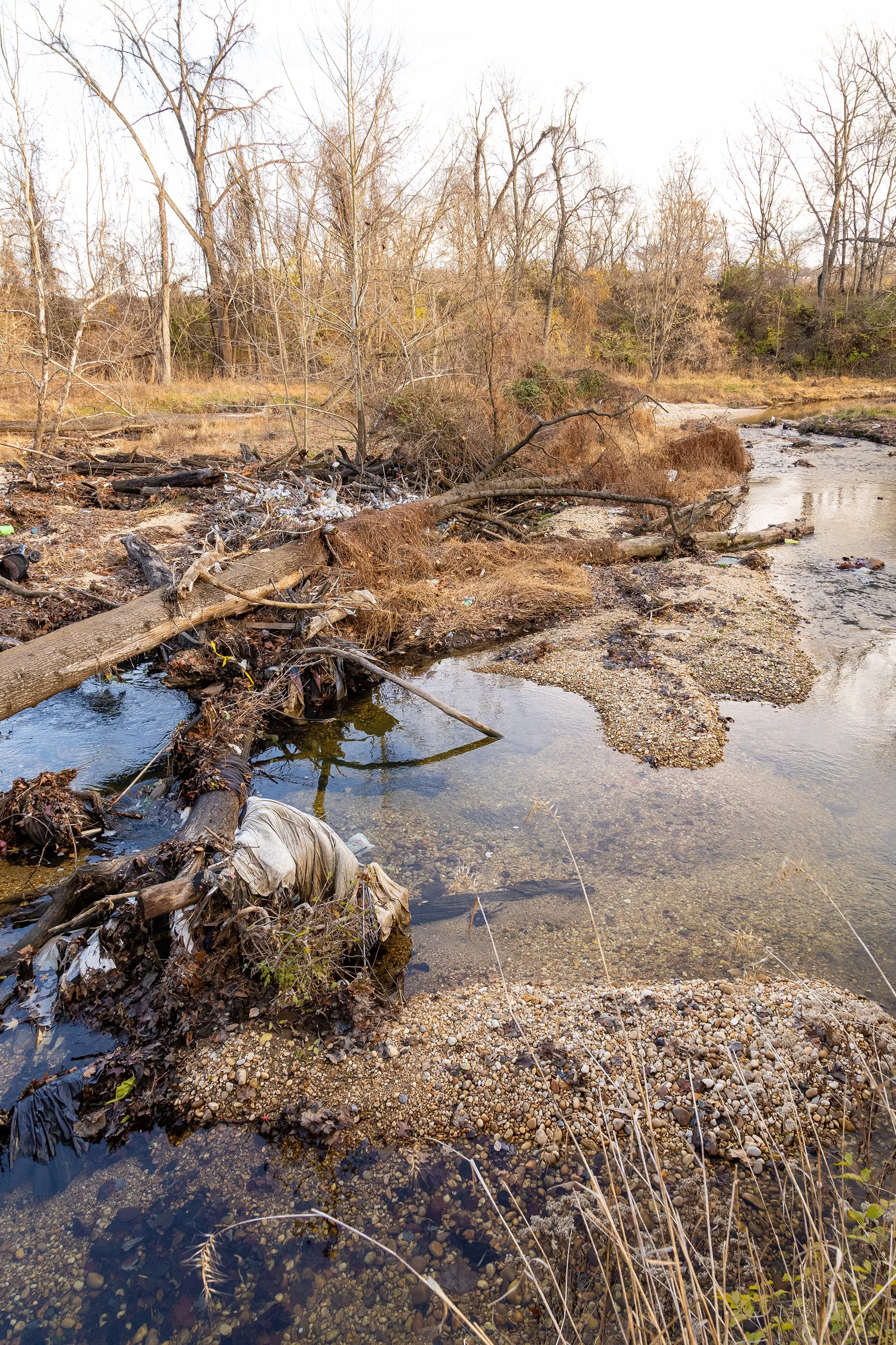 20251204_W8W-OxonRun_AJ6_9467 (1).jpg