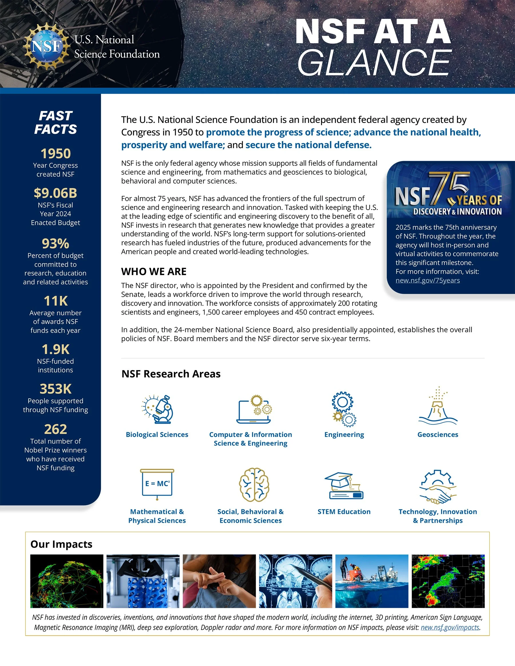 NSF At A Glance 2024_Brand-Example-Sandstone_Med.jpg