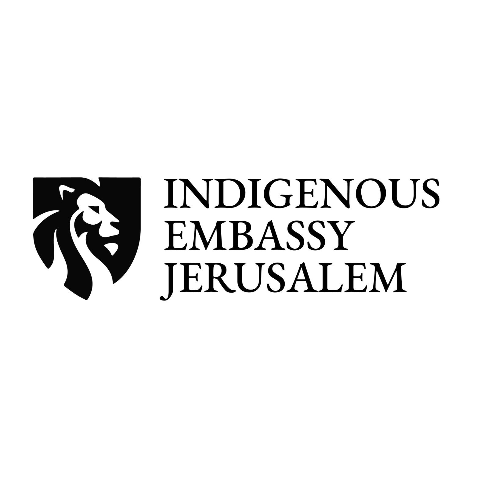IEJ logo