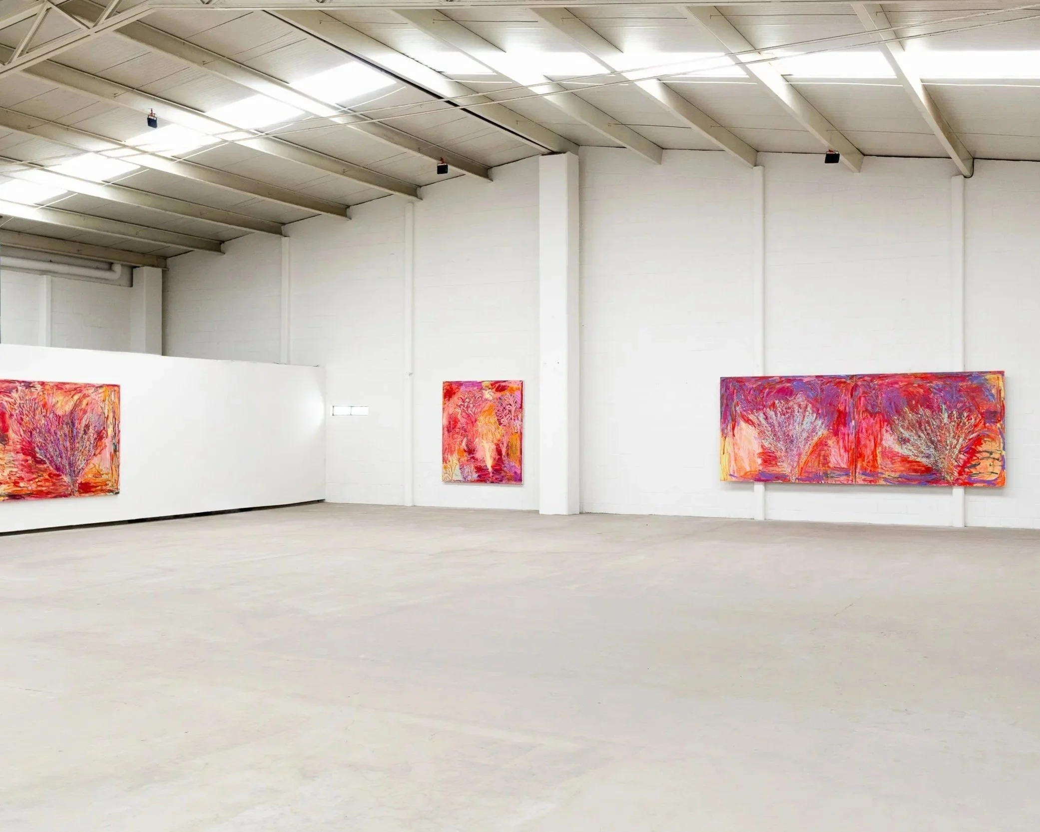 Zach Zono Install Photo - To Young Too Hold On - Solo Exhibition, Alvarez Chida Gallery in partnership with Espacio Báltico, Mexico City 2025