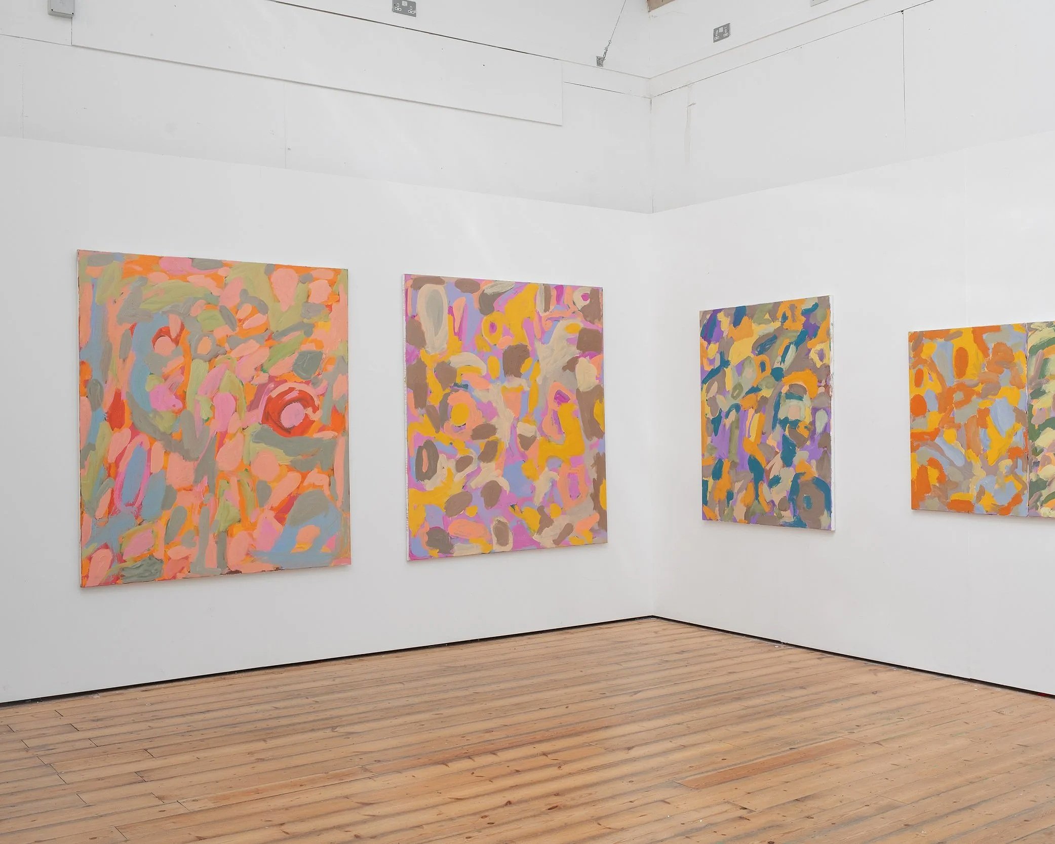 Zach Zono Install Photos - Everyshape Is A Flower - Solo Exhibition, Field Works Studios, London, UK 2022