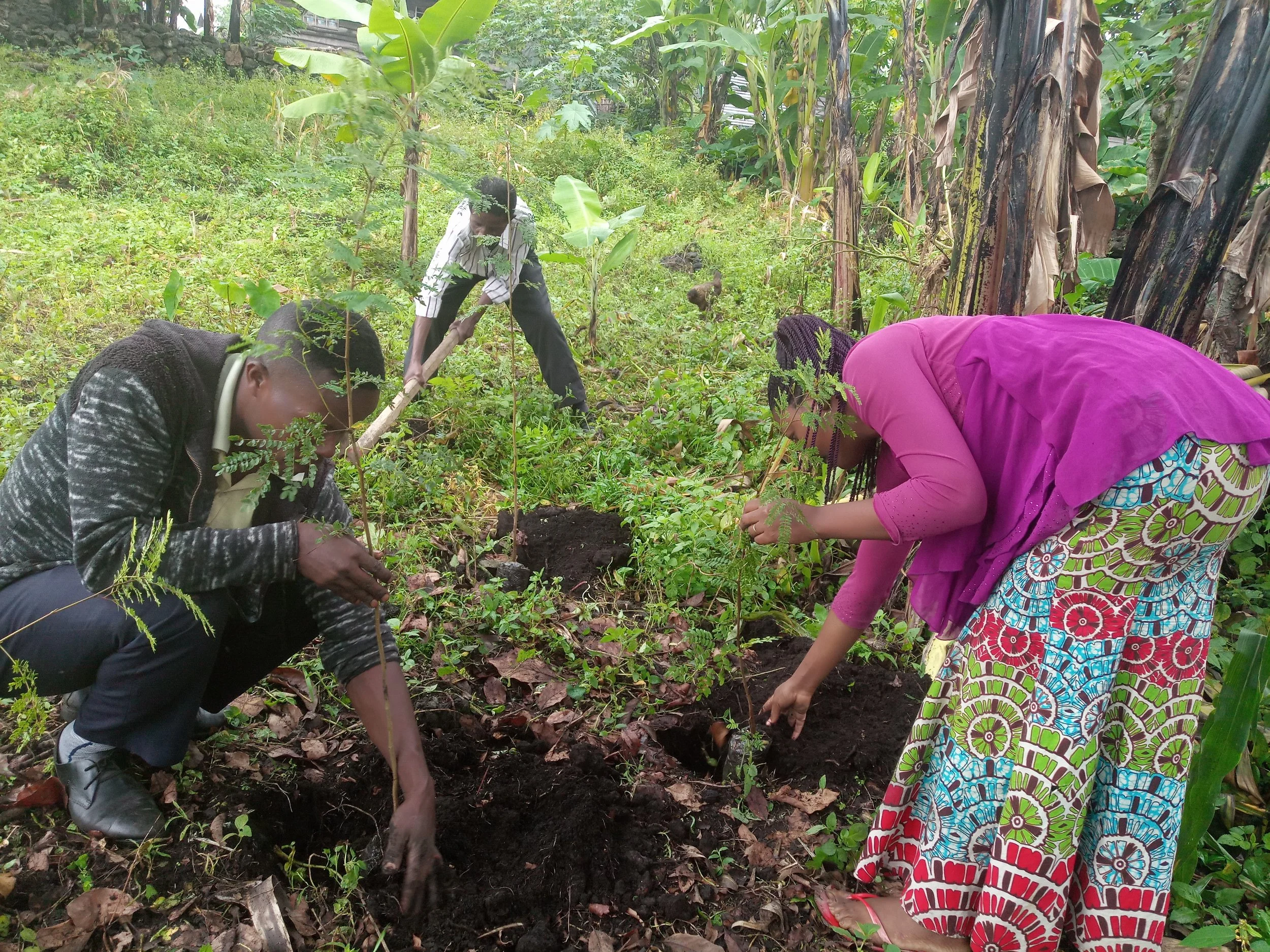 Three women and one man planting young trees in a lush green outdoor setting with banana trees in the background.