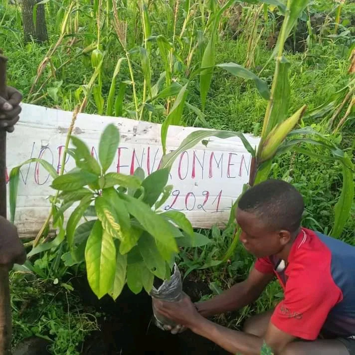 Young man planting a small tree or shrub in the ground, surrounded by tall corn stalks and greenery, with a handwritten sign that reads 'Women Empowerment 2021' in the background.