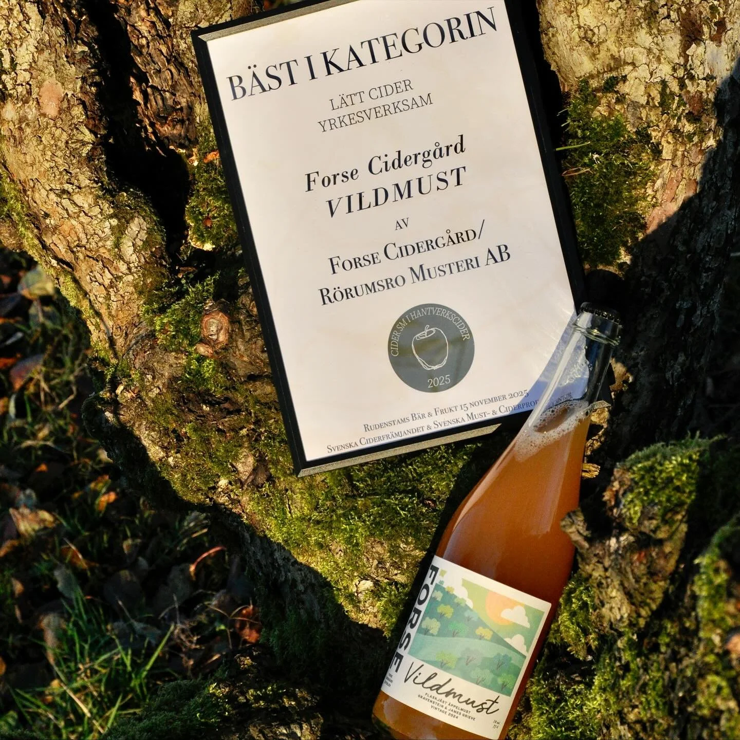 Tv&aring; lyckliga cidermakare! Vi vann klassen l&auml;tt cider (alkoholhalt under 2,25%) i &aring;rets Cider SM med v&aring;r Vildmust Gravenstein/James Grieve. Tjohoo!  Foto @carolinealesmark #hantverkscider #svenskmustocider #svenska&auml;pplen #e