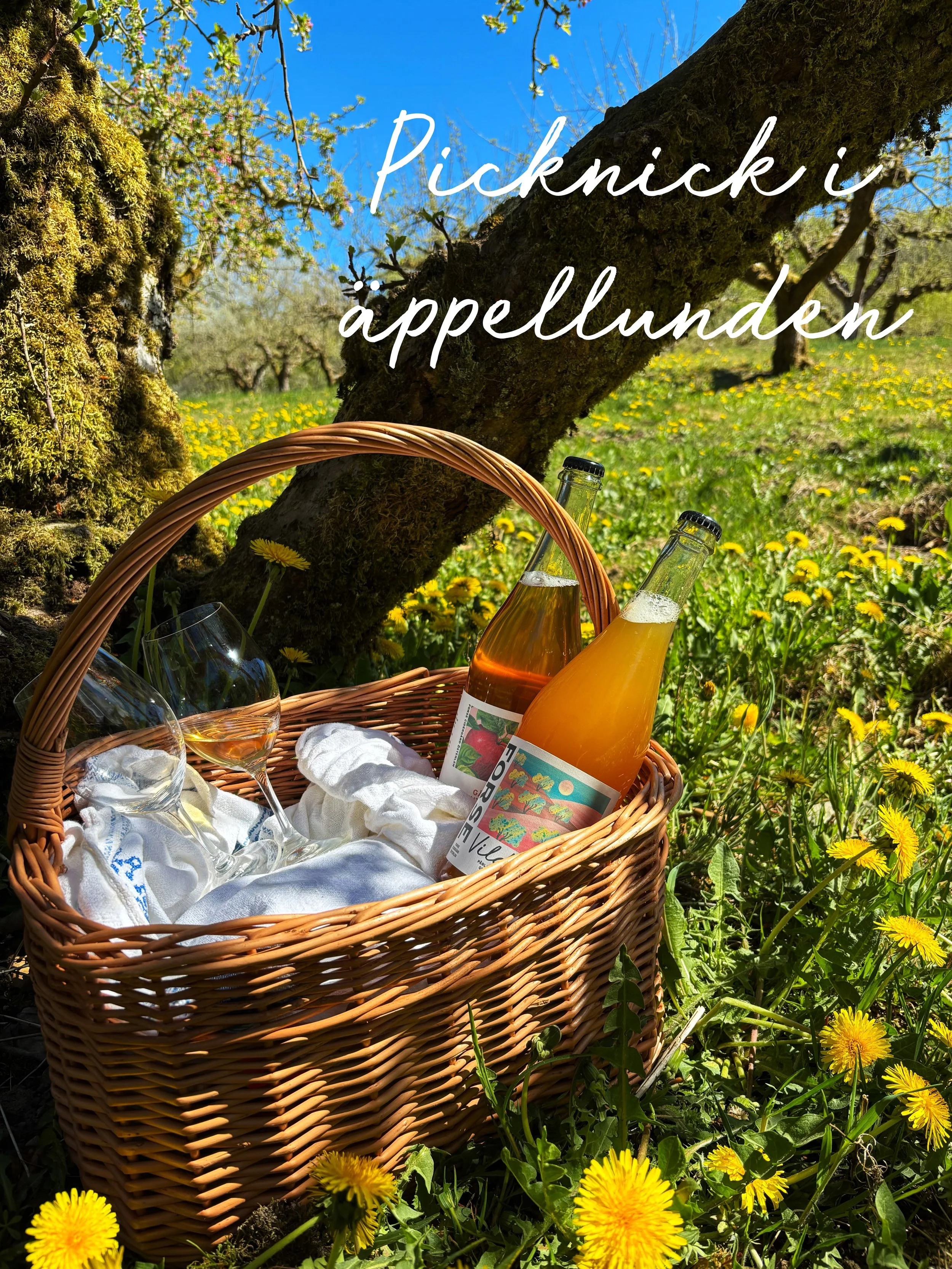 Nu g&aring;r det &auml;ntligen att boka en picknickkorg till @matrundanosterlen ! 

Njut av en lyxig picknick i &auml;ppellunden p&aring; Forse🍎🌳
Picknickkorgen &auml;r baserad p&aring; lokala r&aring;varor och mathantverk. Perfekt f&ouml;r dig som