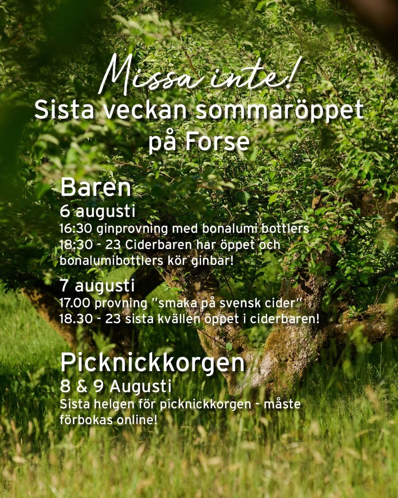Vilken fantastisk f&ouml;rsta sommar vi haft med alla er g&auml;ster som bes&ouml;kt oss! 
Intressanta, roliga och sp&auml;nnande samtal d&auml;r vi m&ouml;ts runt intresset f&ouml;r cider och must. Stort tack f&ouml;r att ni kom och satte guldkant p