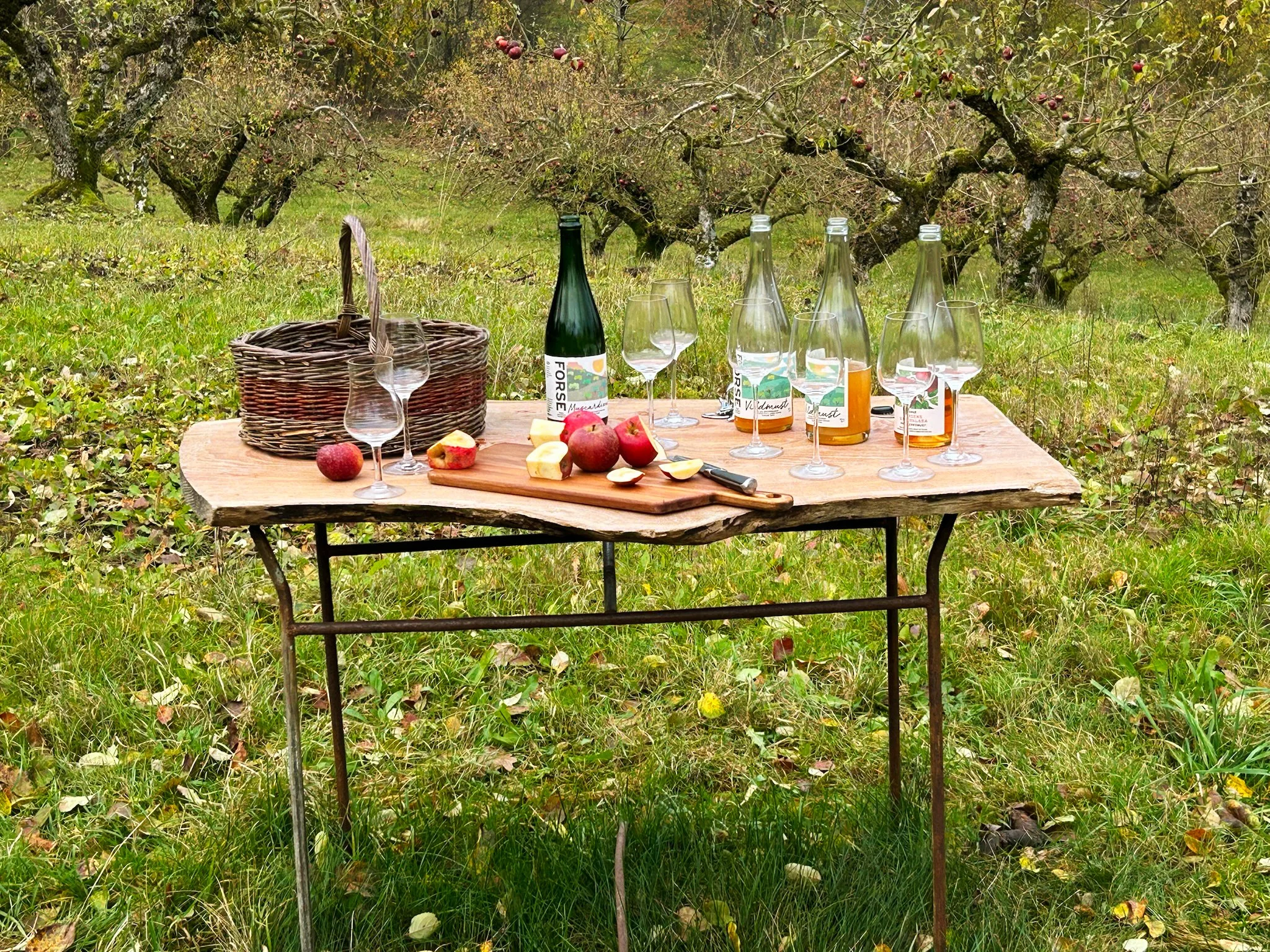 Uteplats med en träbord med vin, glas, äpplen, ost och kockris, och en korg, i ett äppleträdgårdsområde.