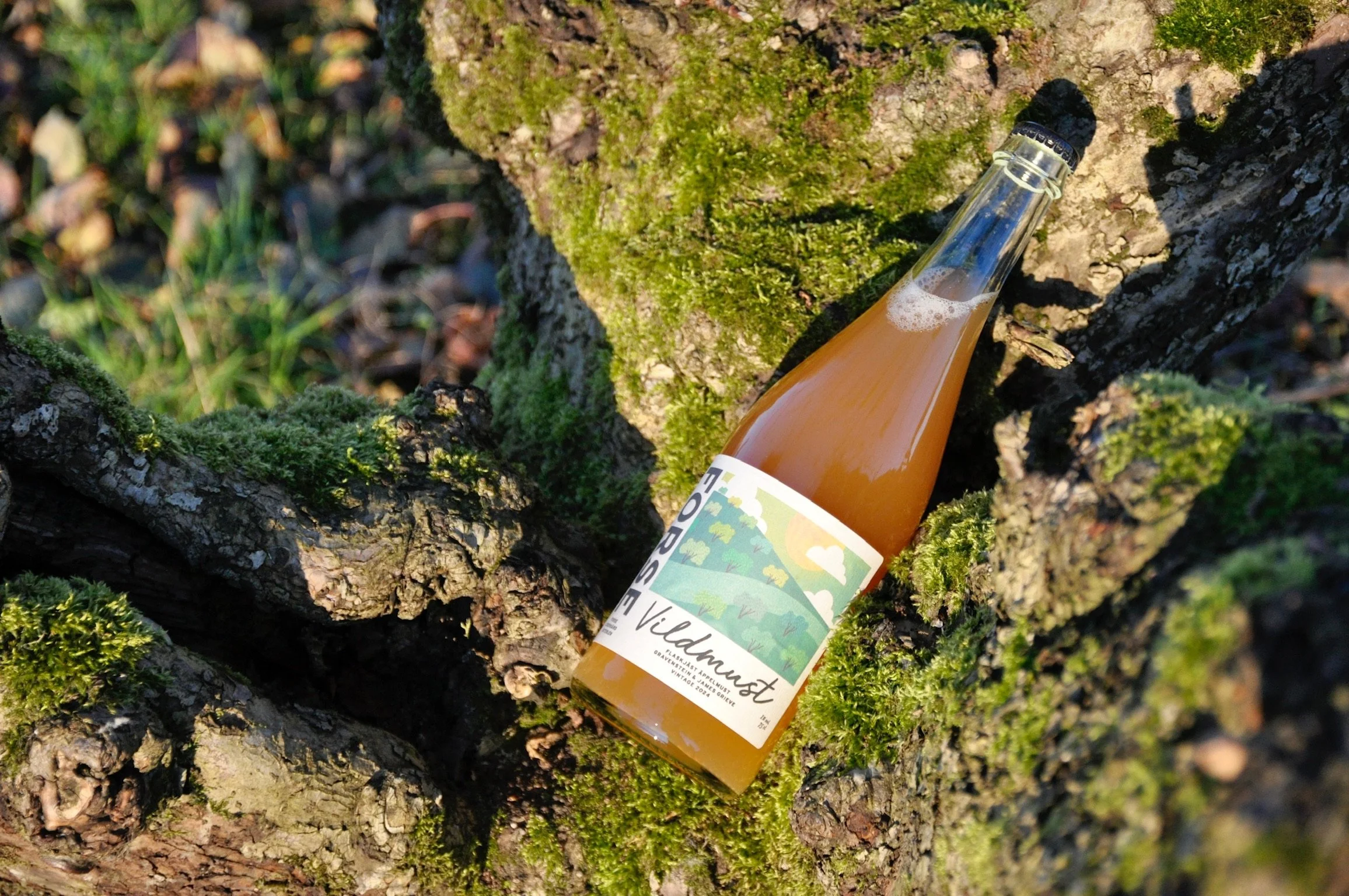 En glasflaska med vin destineringar mot naturen, placerad på ett träd med mossa.