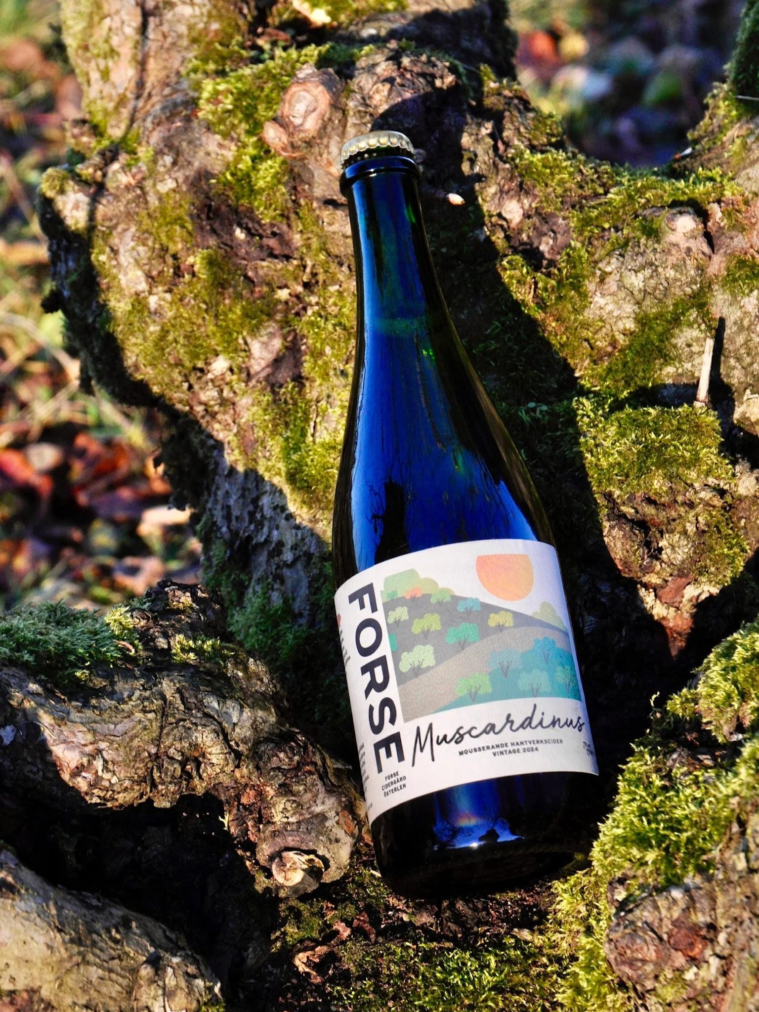 En blå stenhäll med mossa och ett stubbe där ett vinflaskor står lutad mot, med etikett som säger Forsse Muscadinus i naturmiljö.