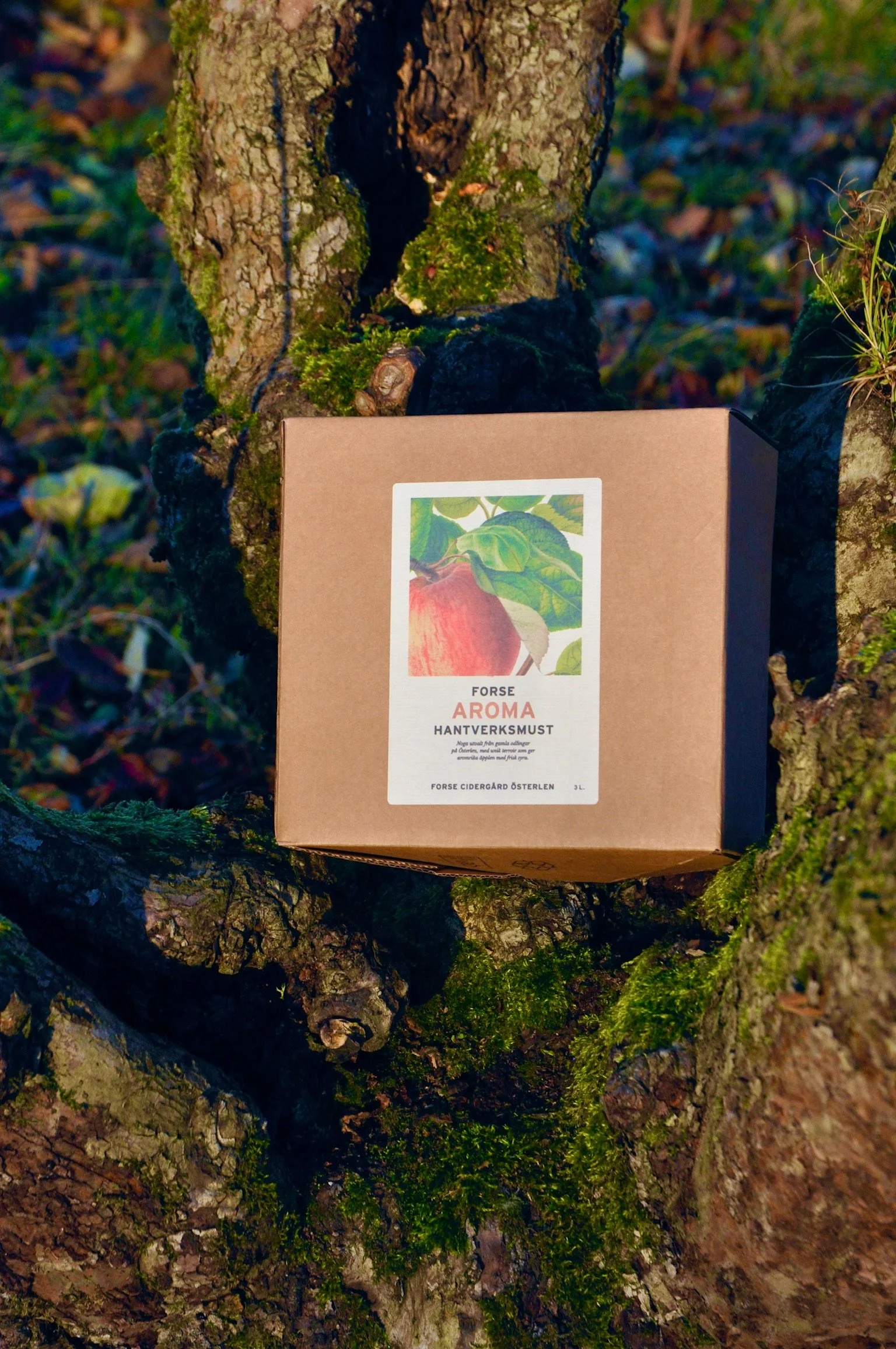 En förpackning med äppeldoft som vilar på en trädstam utomhus, omgiven av mossa och löv.