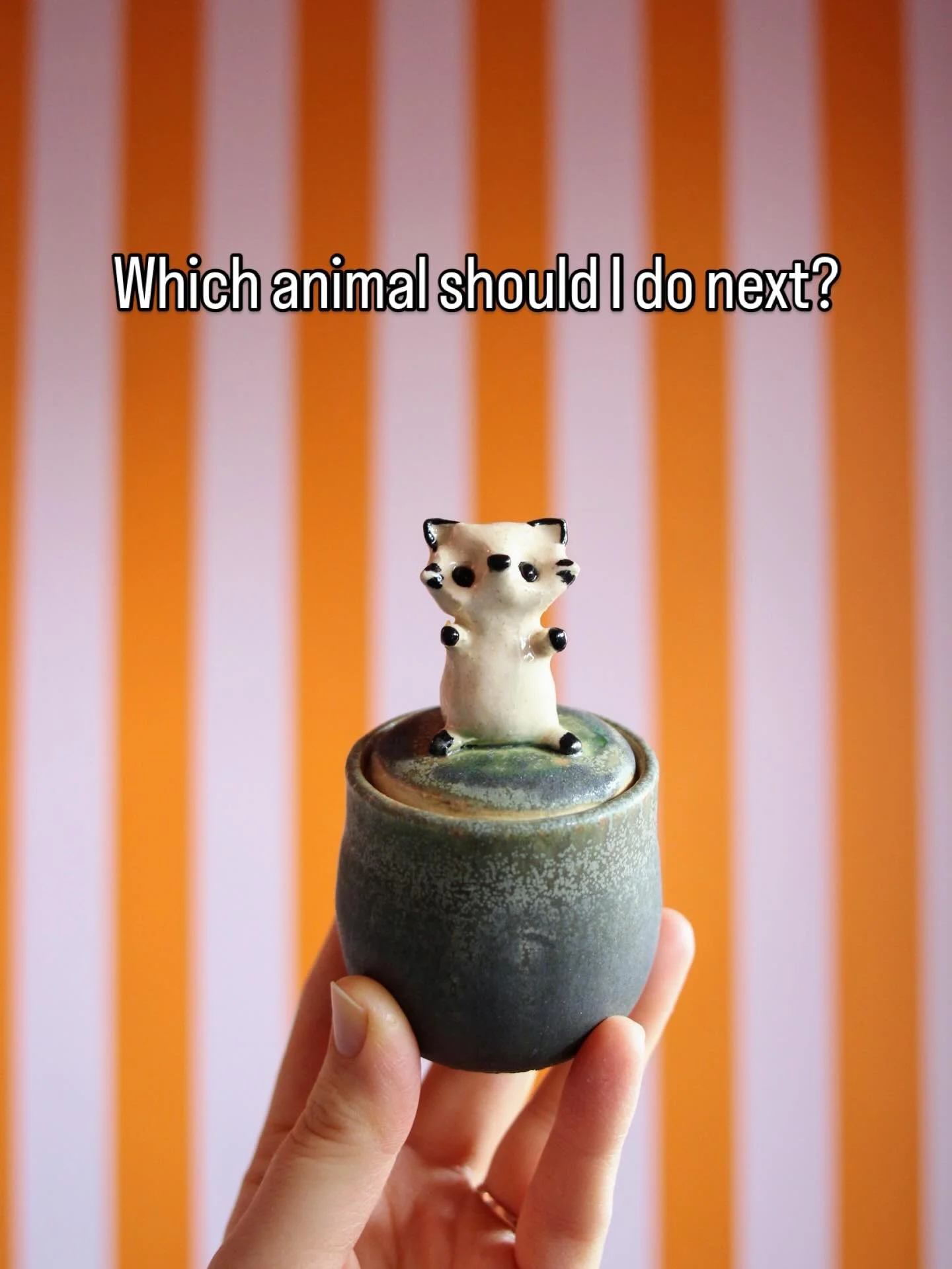 So far I&rsquo;ve done mice, bears, a raccoon, a bunny, a frog, and a cat. Let me know in the comments what animal you&rsquo;d like me to make next!

#cuteceramics #dopaminedecor #colourfulart #unicornart #ukceramics 

Ceramic jars with lids and cute