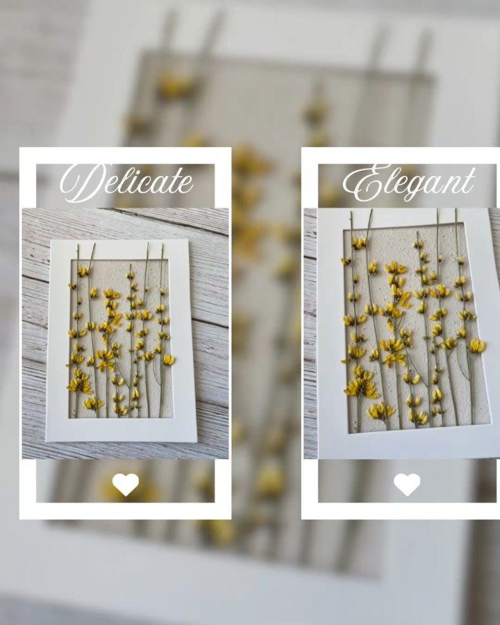 A whisper of sunshine, gently pressed 🌼☀️
This yellow ginestra holds the warmth of summer days &mdash; bright, bold, and full of life. Framed in time, so its beauty never fades.
One-of-a-kind, just like nature intended 🌿

 

#floralcreations #flora