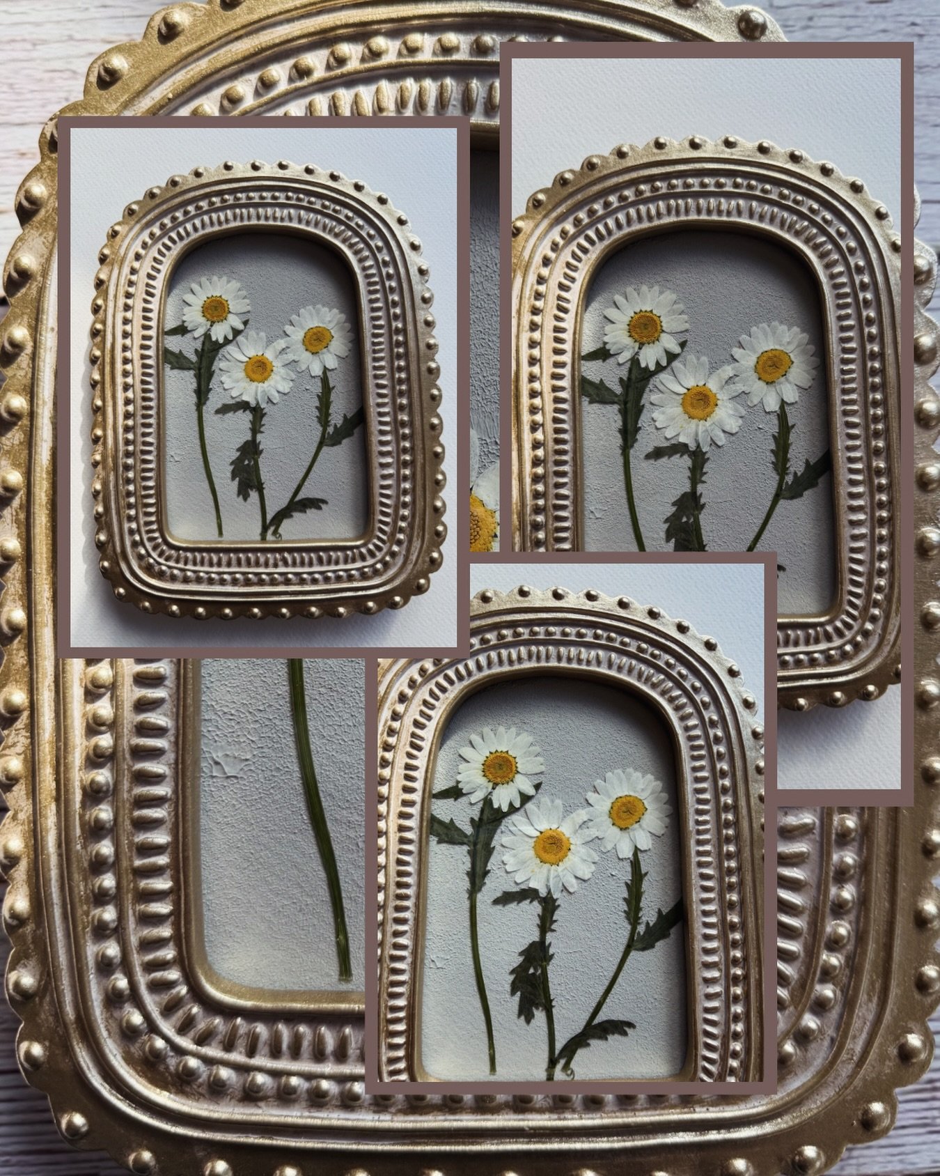 Soft, golden elegance ✨

A timeless frame, adorned with real pressed daisies &mdash; each one carefully preserved to celebrate nature&rsquo;s quiet beauty. Their delicate petals, set against a warm golden glow, bring a sense of light, calm, and effor