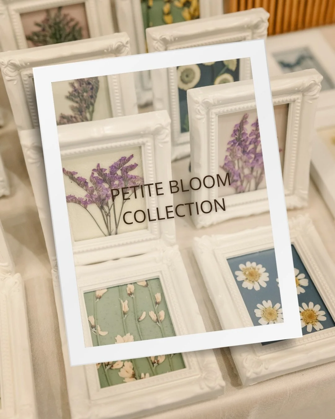 Introducing the Petite Bloom Collection 🌸

A delicate series of mini frames where every petal tells a story. Each piece is thoughtfully crafted with real pressed flowers, preserving the quiet beauty of nature in its smallest form.

Perfect little tr