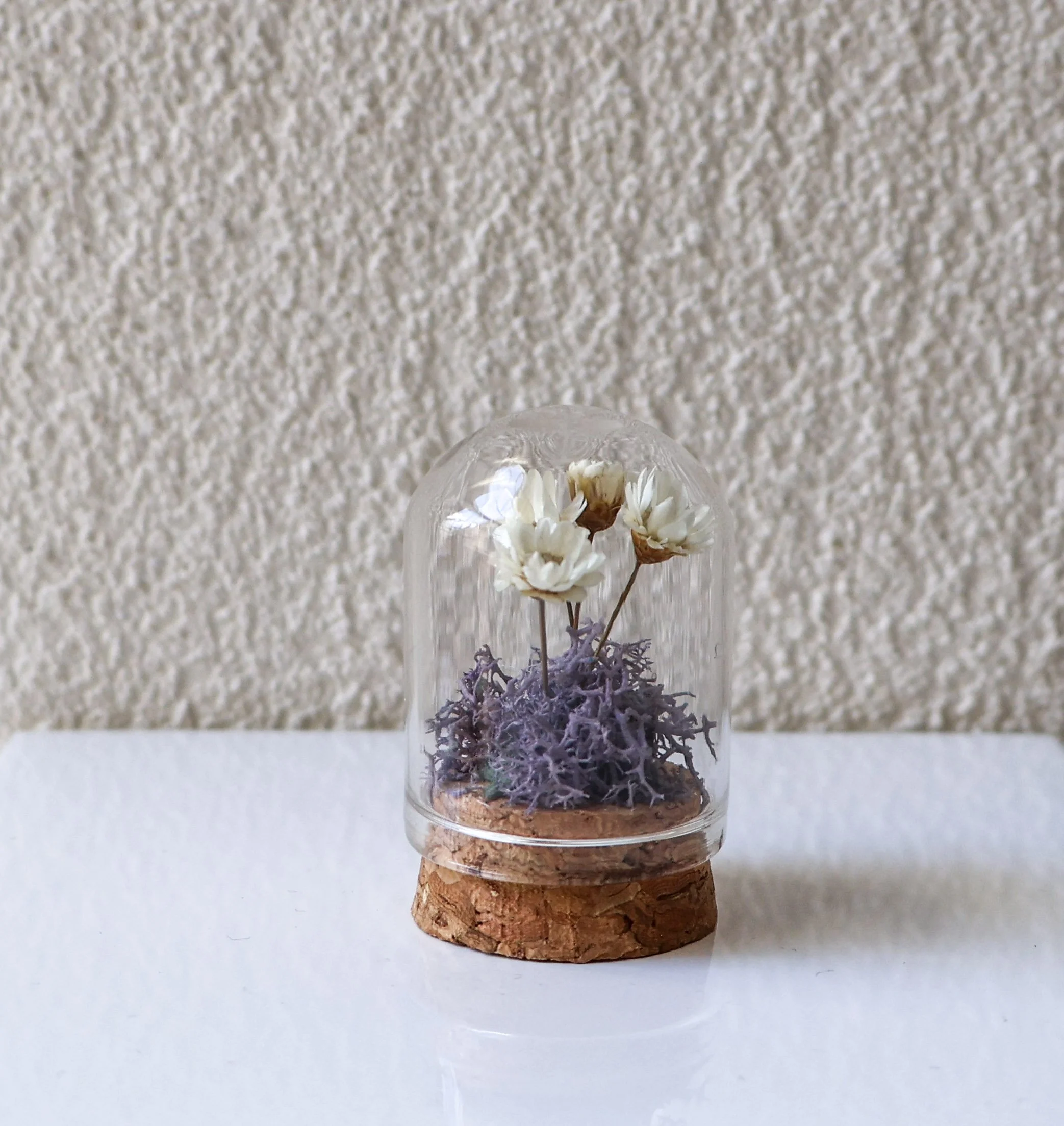 12-2025-11-10 10.jpg