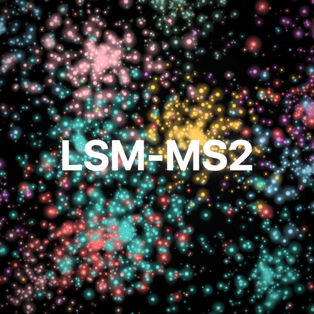 Introducing LSM-MS2