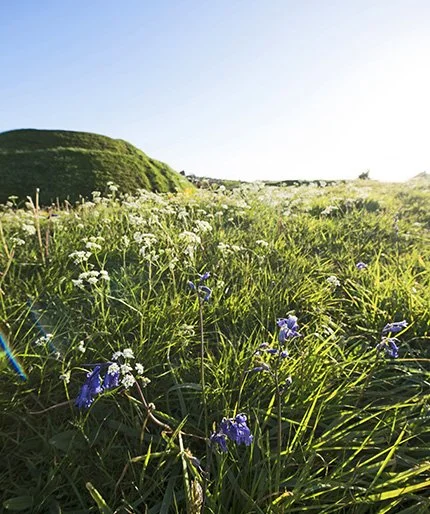 Picture of Motte at Dromore, County Down.