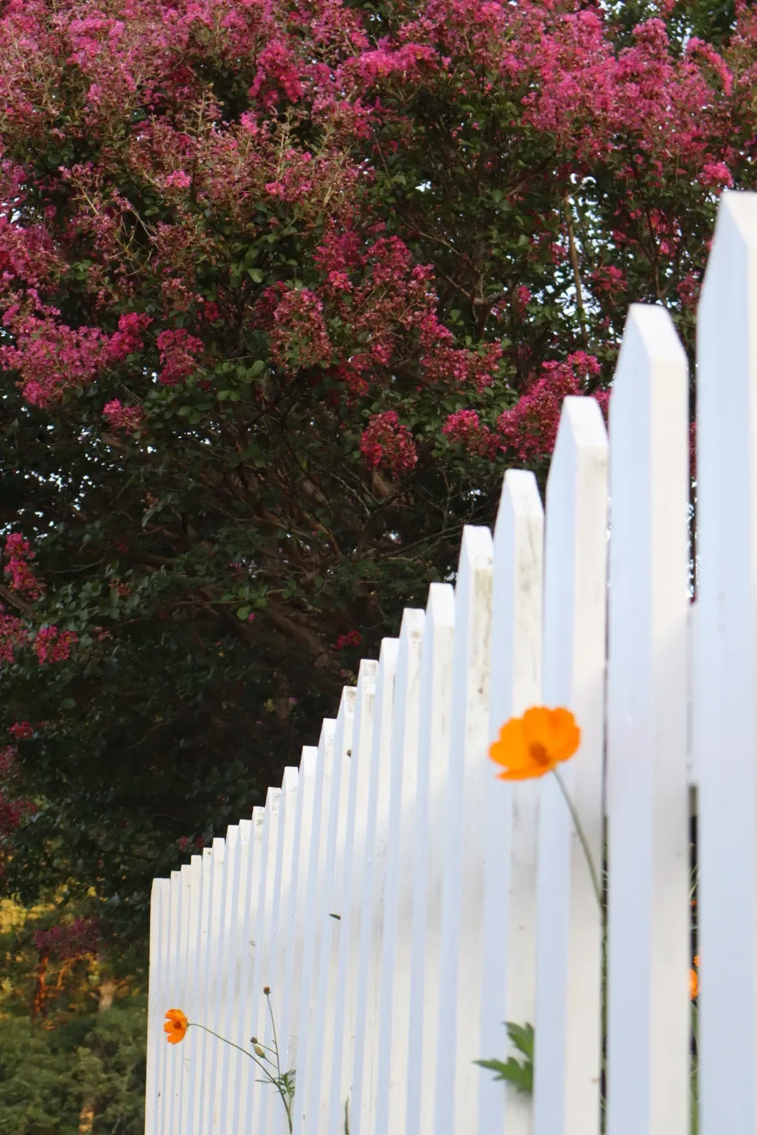 Lessons from Liquid Bandage