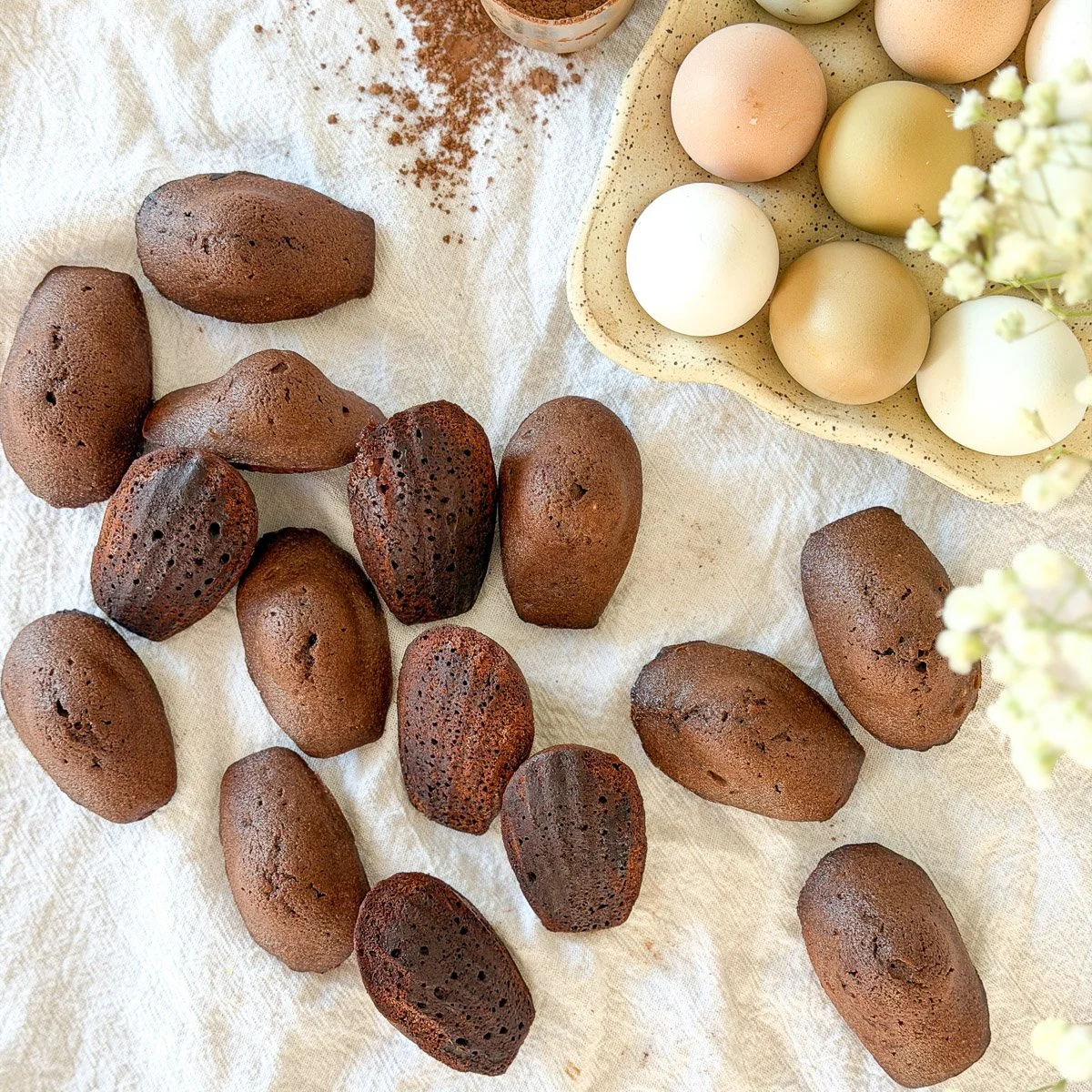 Simple Chocolate Madeleines