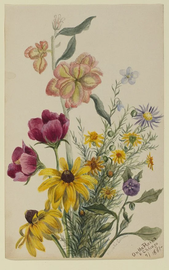 Permission to Dream of Spring