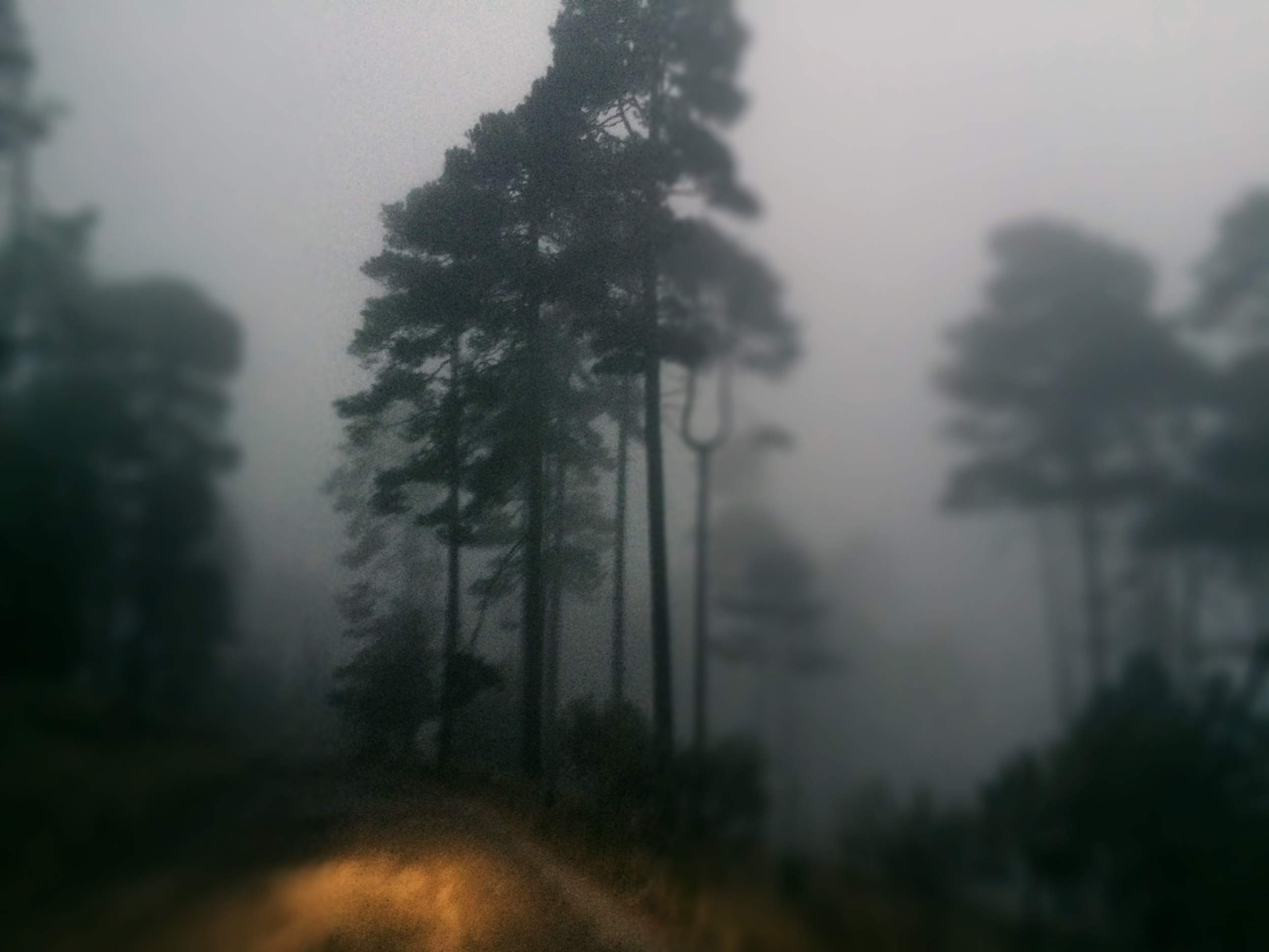 JOURNAL TRAVEL PHOTO