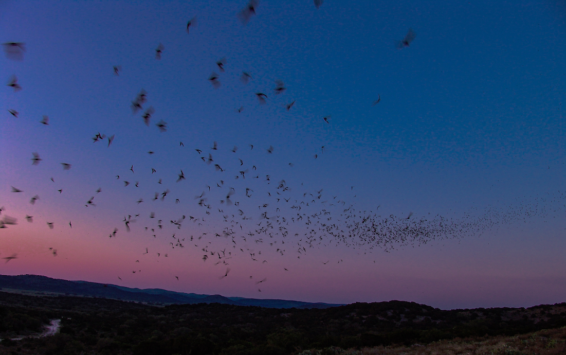 Screenshot 2025-11-20 at 6.10.56 p.m..png