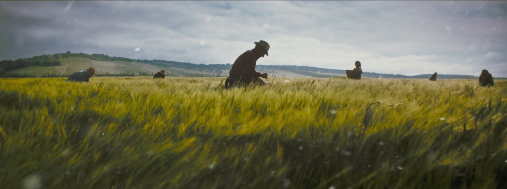 Screenshot 2025-11-20 at 3.55.16 p.m..png