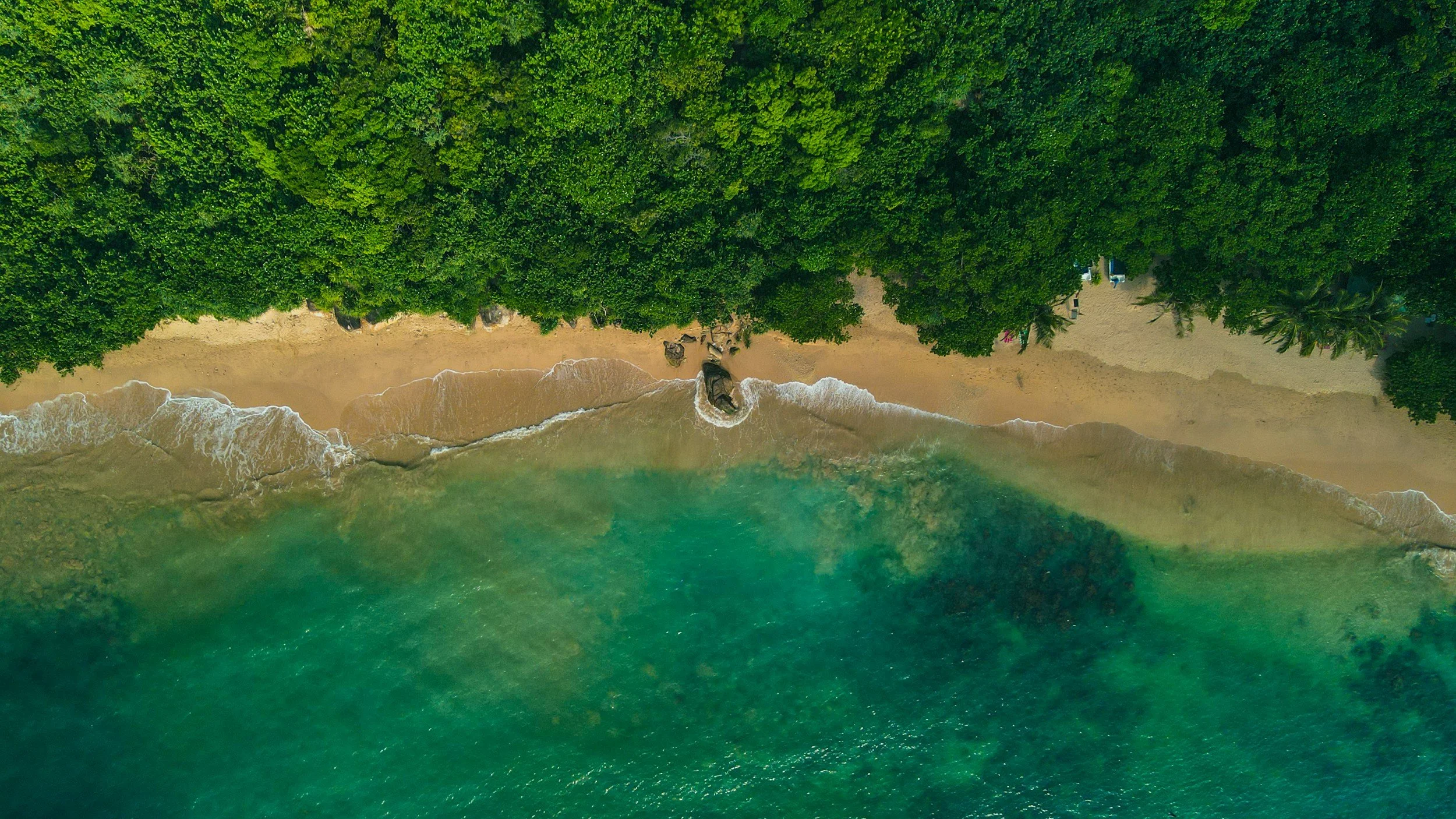 An aerial view of a tropical beach with dense green trees, sandy shore, and turquoise ocean water.