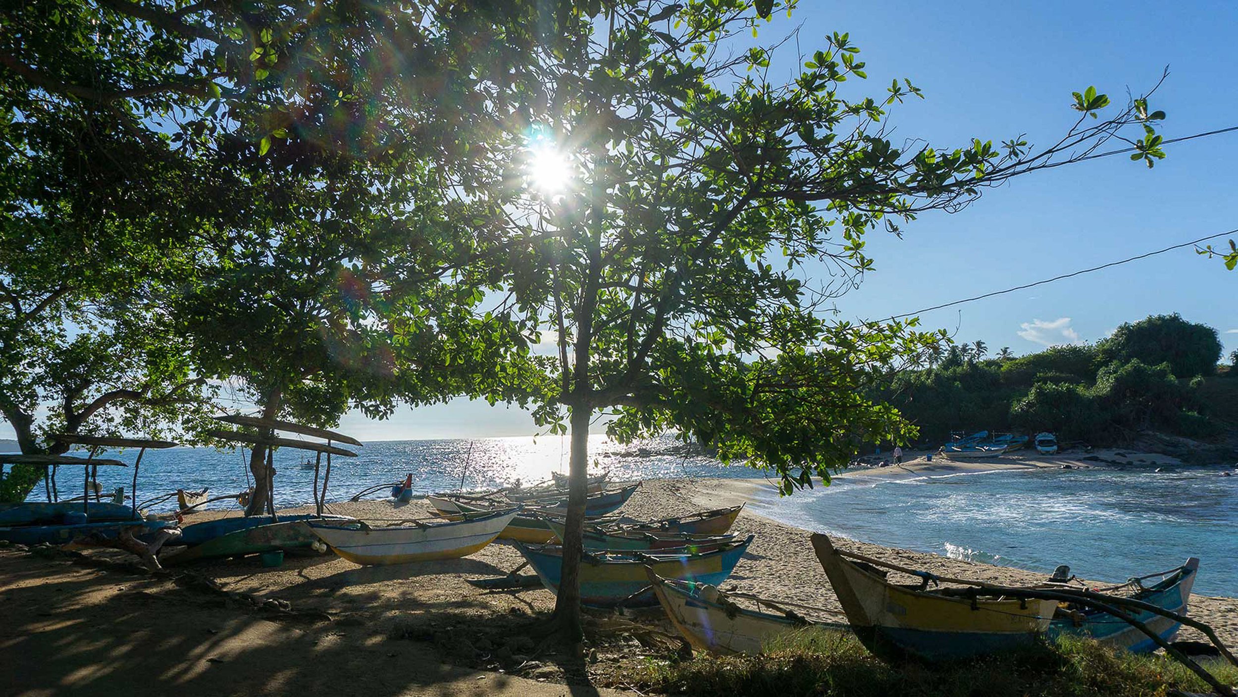 Slunce prosvítající skrze strom na pláži, s několika loděmi odpočívajícími na písku a oceánem v pozadí – inspirace pro ájurvédský wellness pobyt a tropickou relaxaci u moře.