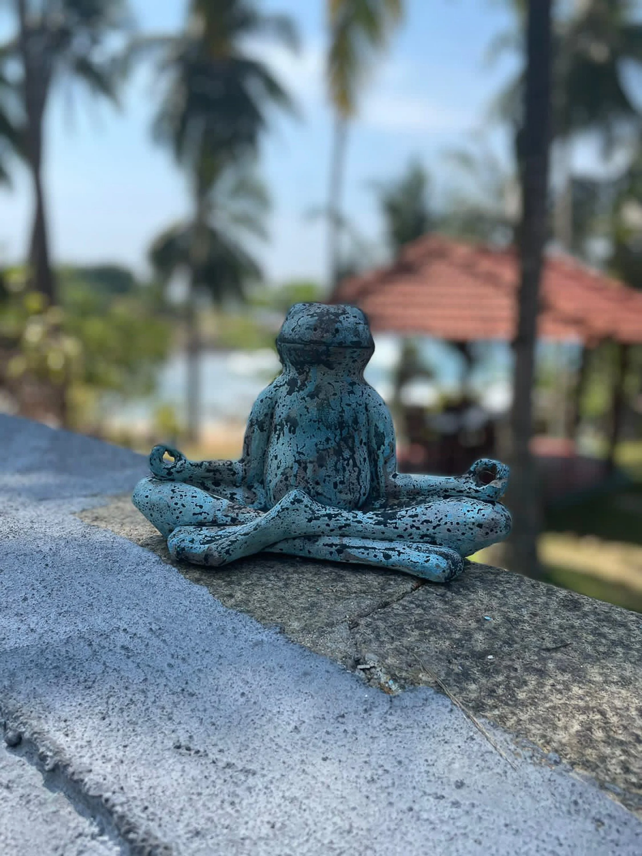 Modrá skvrnitá soška žáby sedící v pozici lotosu venku, v pozadí stromy a budova s červenou střechou – inspirace pro ájurvédský wellness pobyt a meditativní prostředí.