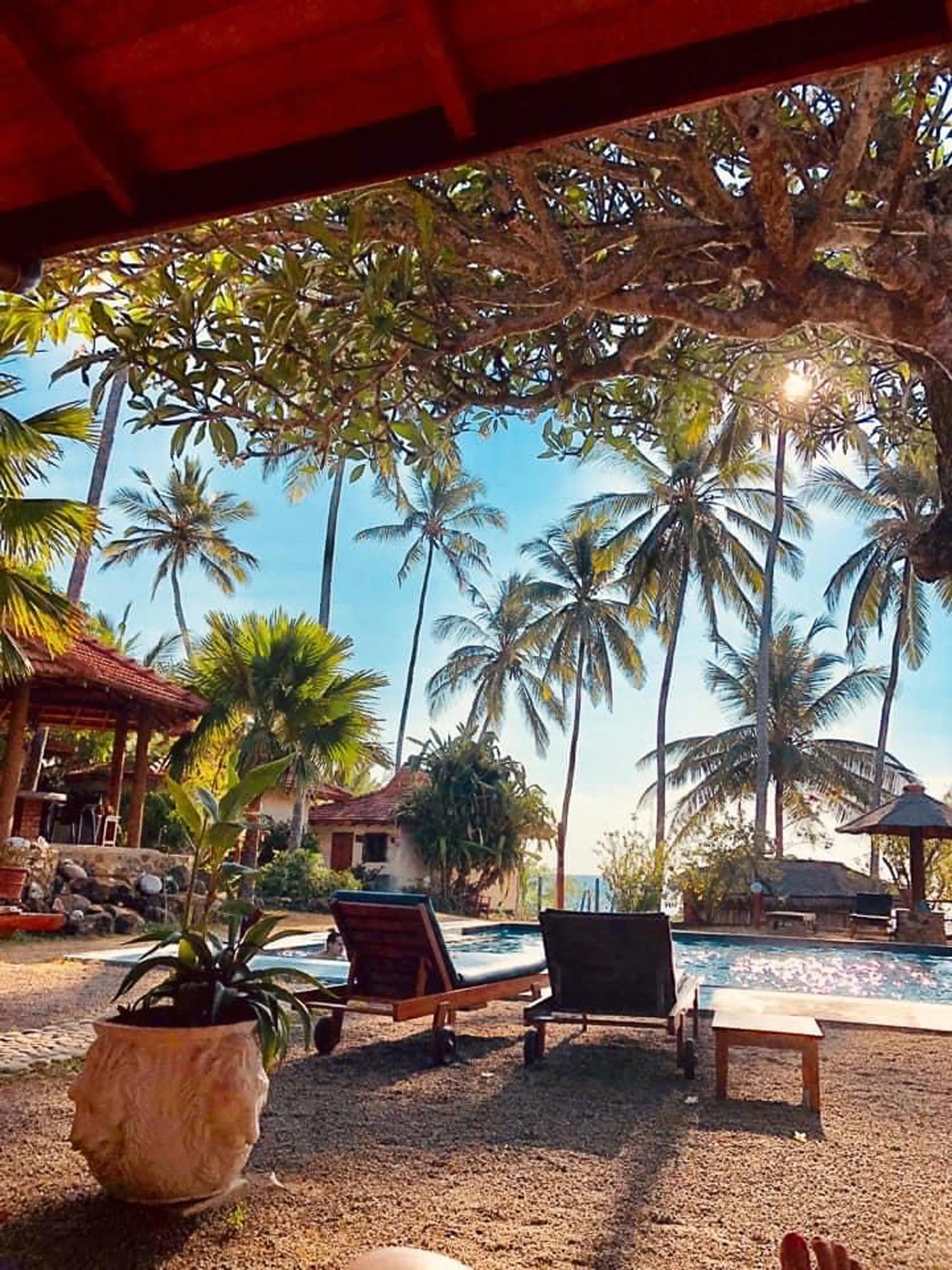 Tropická scéna u bazénu s lehátky, palmami a pavilonem pod velkým stromem, slunečné nebe se slunečními paprsky procházejícími větvemi – inspirace pro ájurvédský wellness pobyt a relaxaci u bazénu.