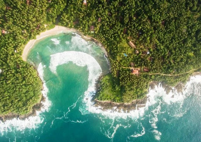 Aerial view of a lush green coastline with a small beach and a body of water surrounded by dense forest.