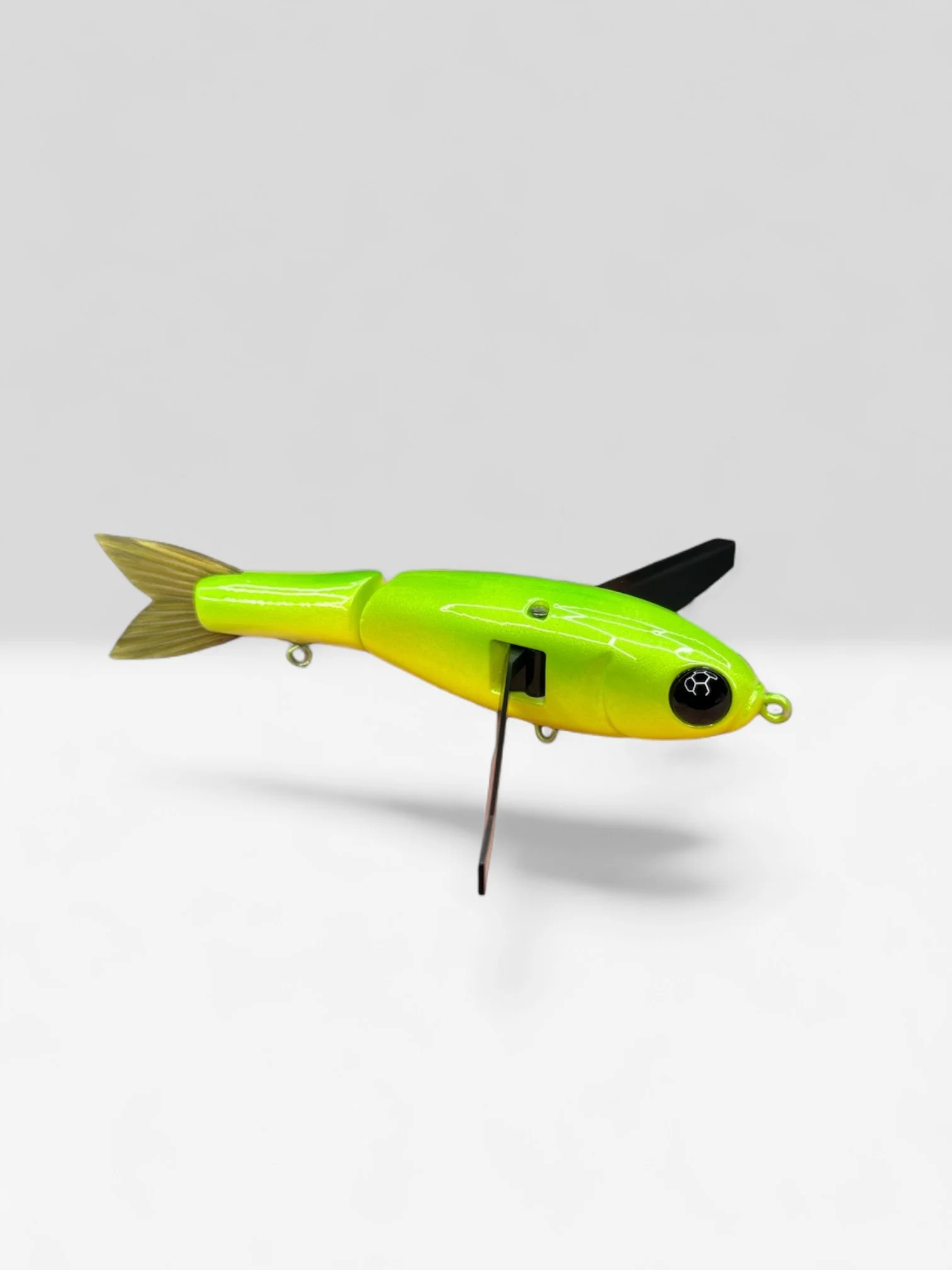 Photoroom_20260808_111641.JPG