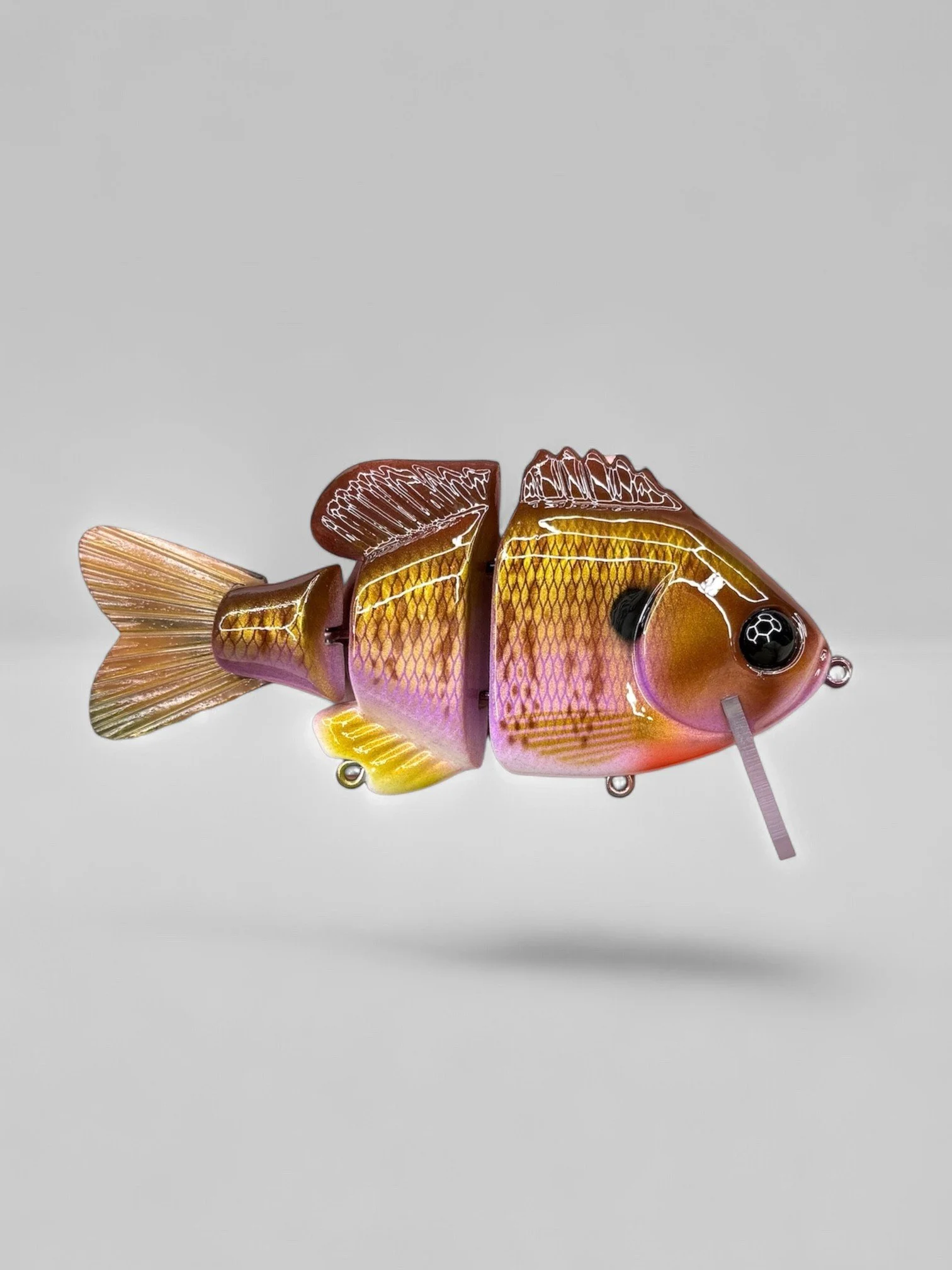 Baby Gill
