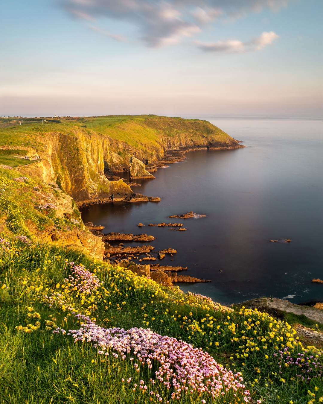 Irish Cliffs. Scenic view of green grassy cliffs with colorful wildflowers overlooking a calm ocean at sunset.
