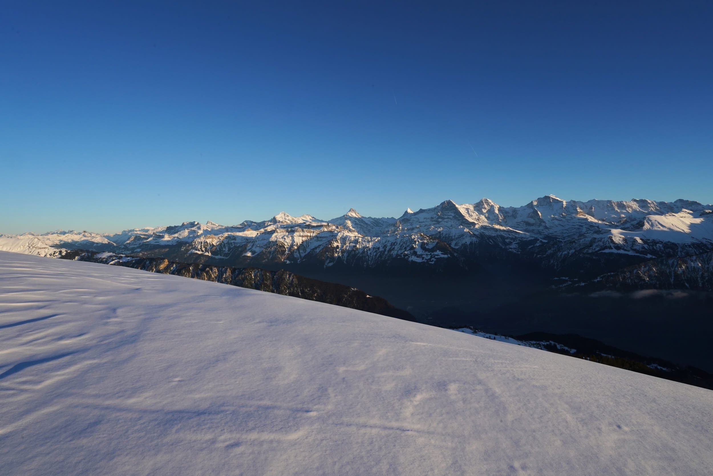 Niederhorn_DSC06683_t (2) 1.jpg