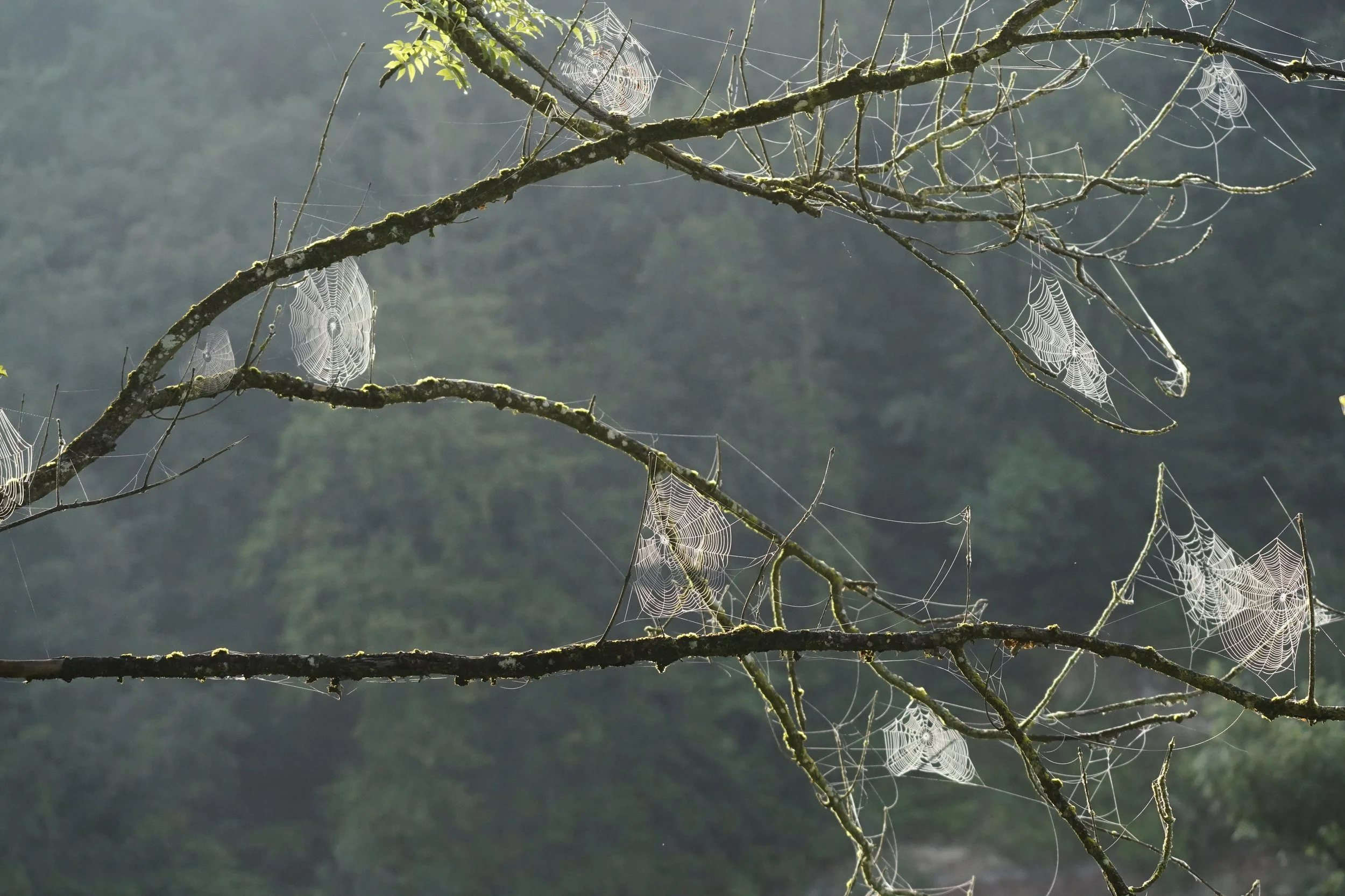 Der Herbst kündigt sich an