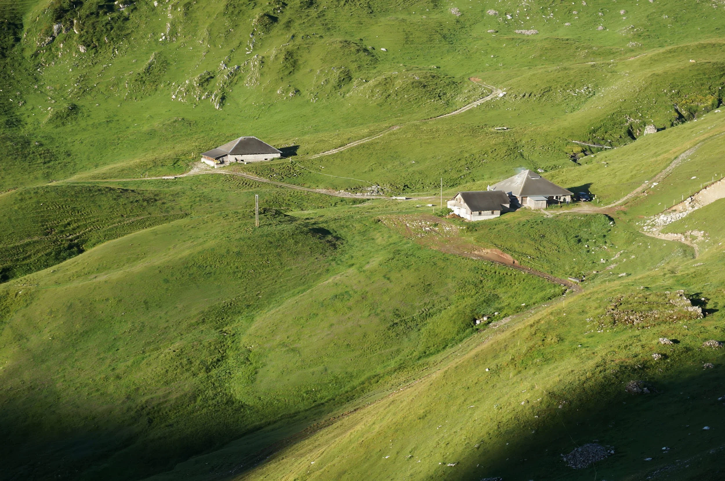 Morgeten_DSC07471_t 1.jpg