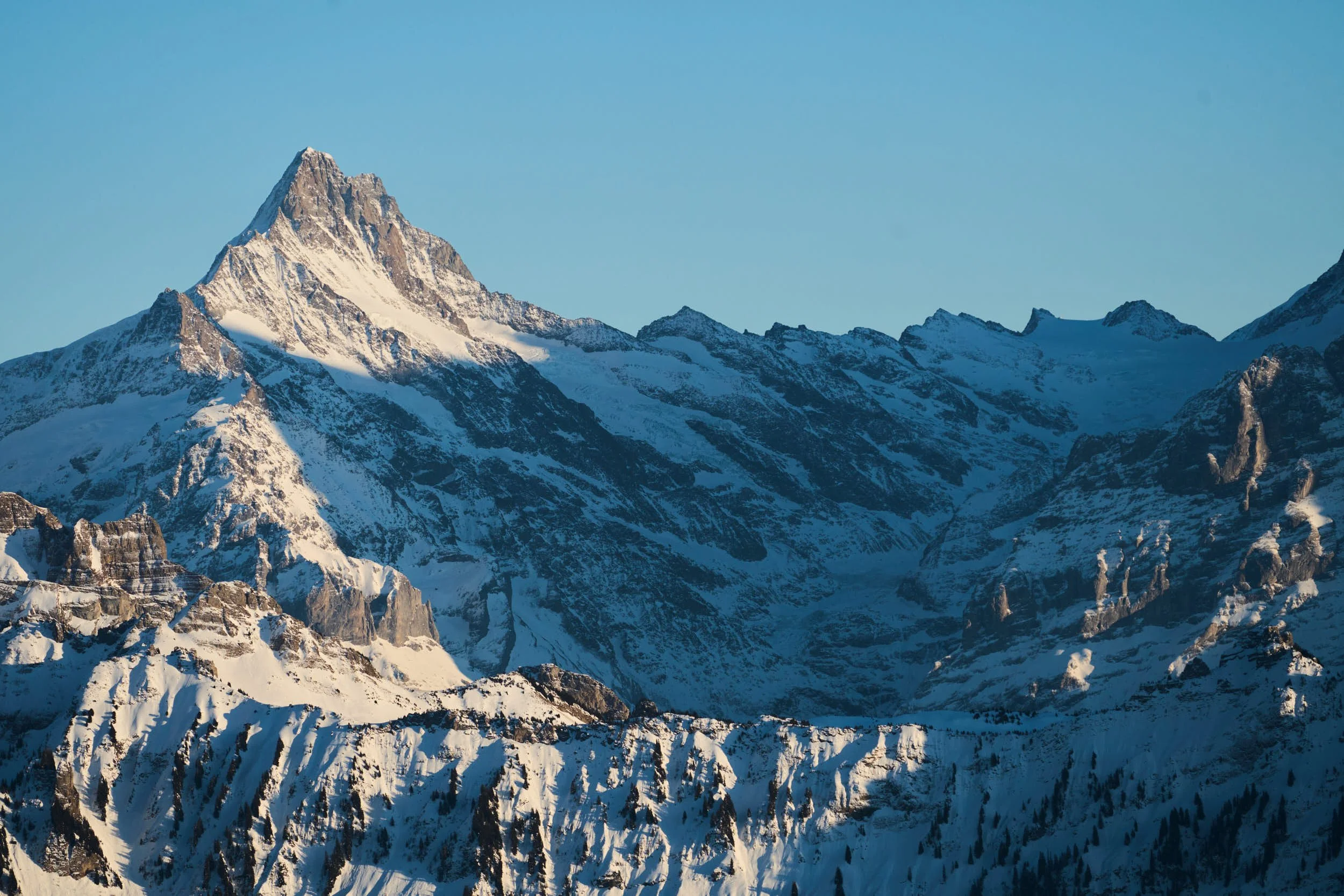 Schreckhorn_DSC06425_t 1.jpg