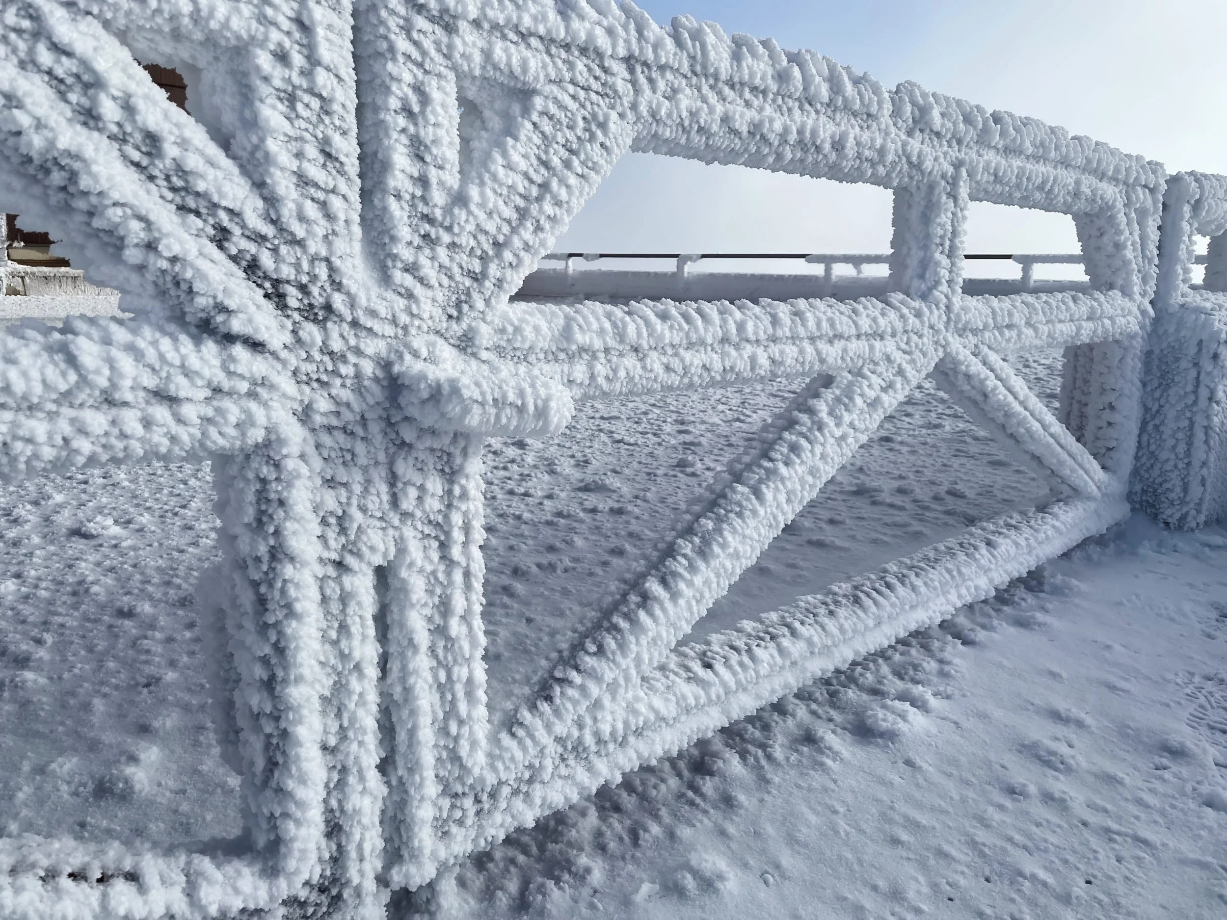 Chasseral_IMG_8509_t 1.jpg